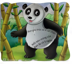 cùng bé yêu khám phá rừng xanh - chúng mình đã biết gì về loài gấu trúc