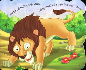 cùng bé yêu khám phá rừng xanh - chúng mình đã biết gì về loài sư tử