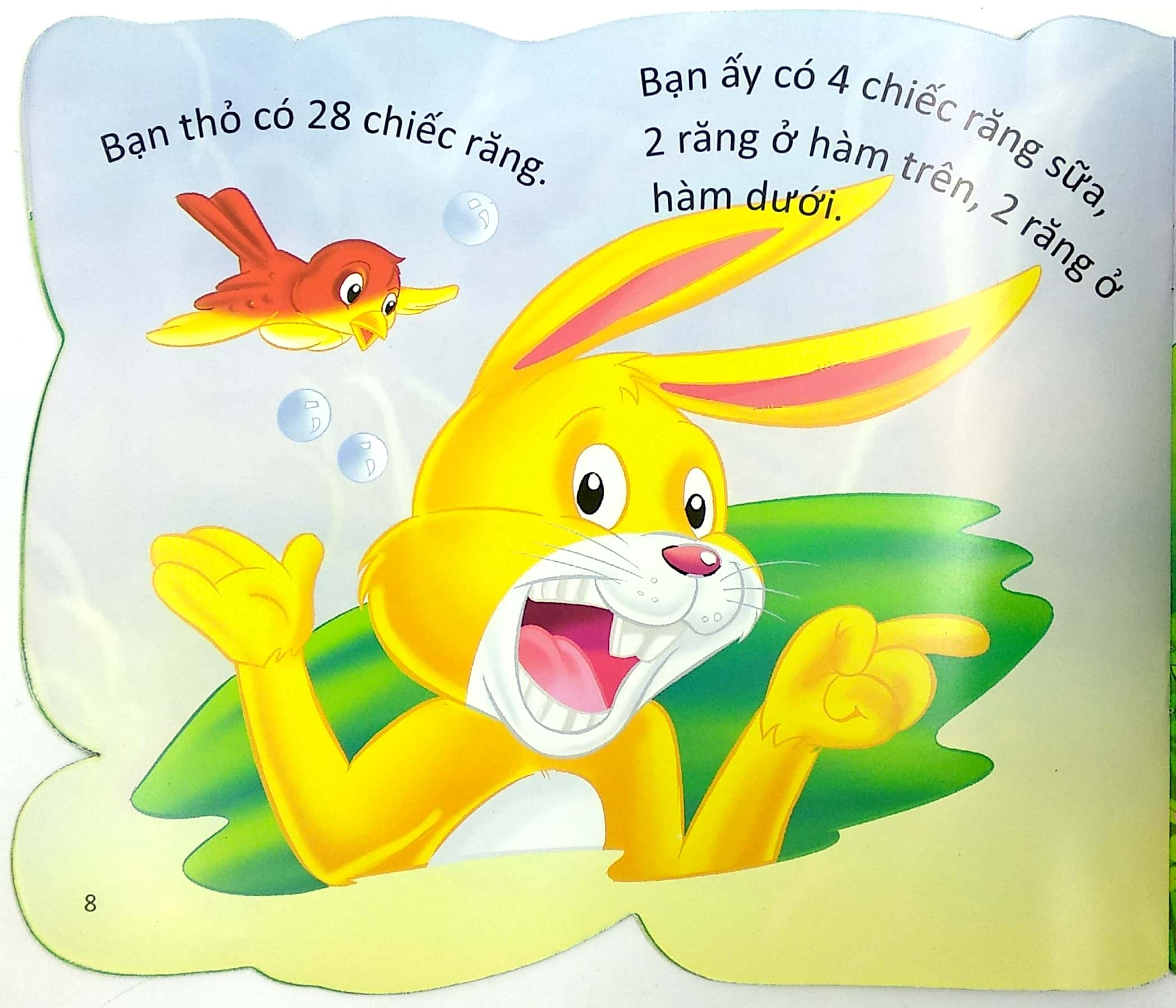 cùng bé yêu khám phá rừng xanh - chúng mình đã biết gì về loài thỏ