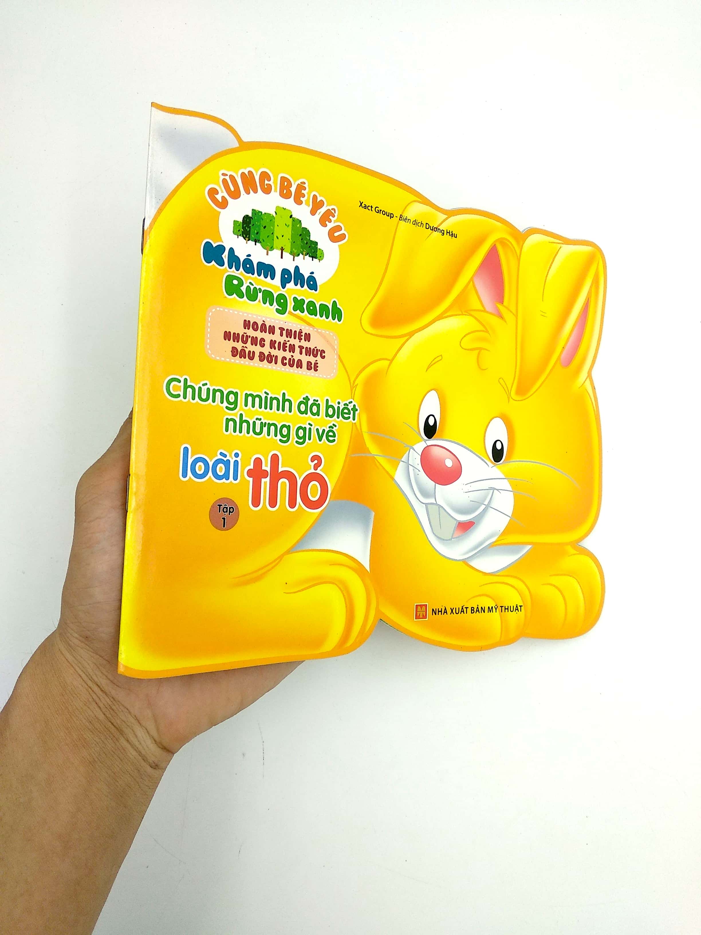 cùng bé yêu khám phá rừng xanh - chúng mình đã biết gì về loài thỏ