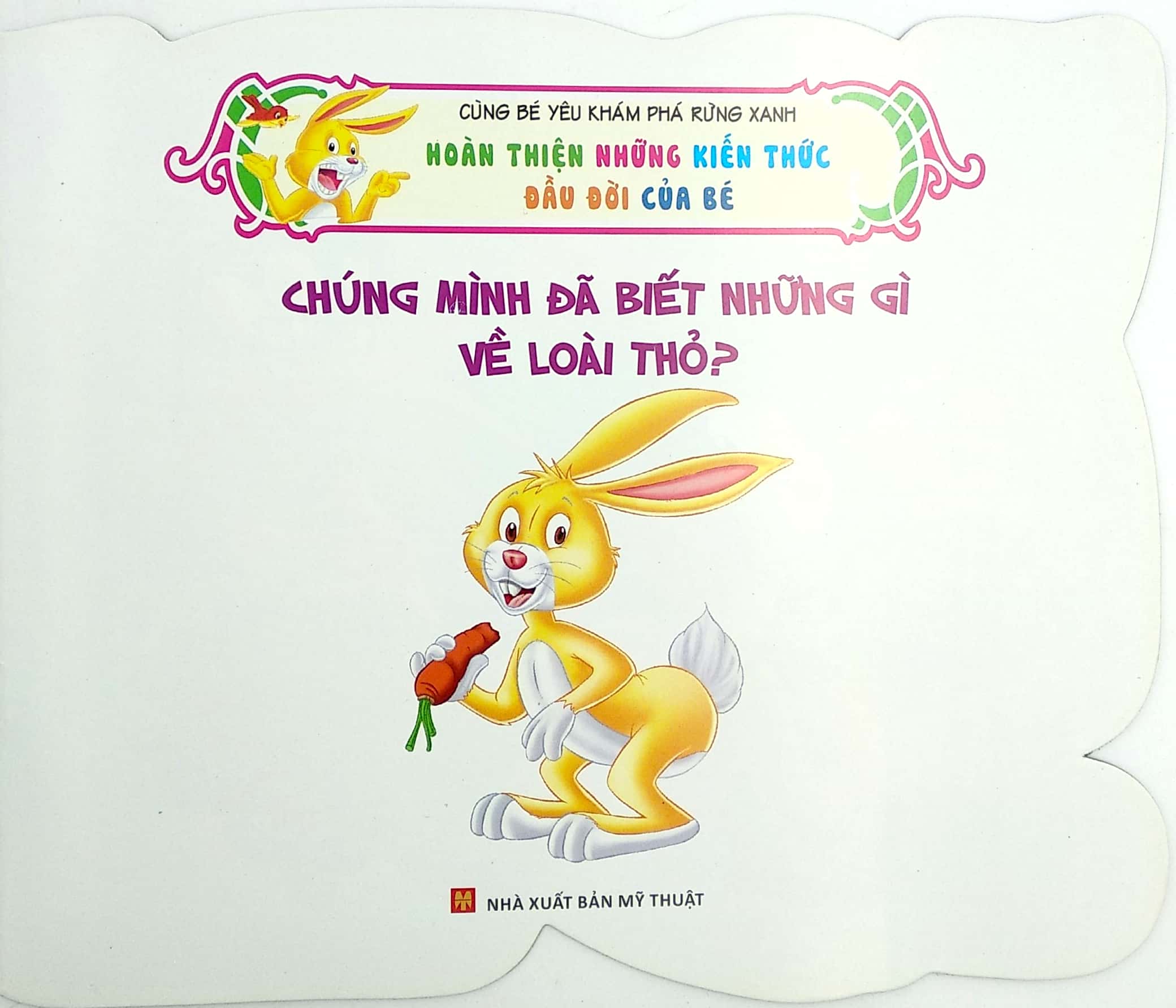 cùng bé yêu khám phá rừng xanh - chúng mình đã biết gì về loài thỏ