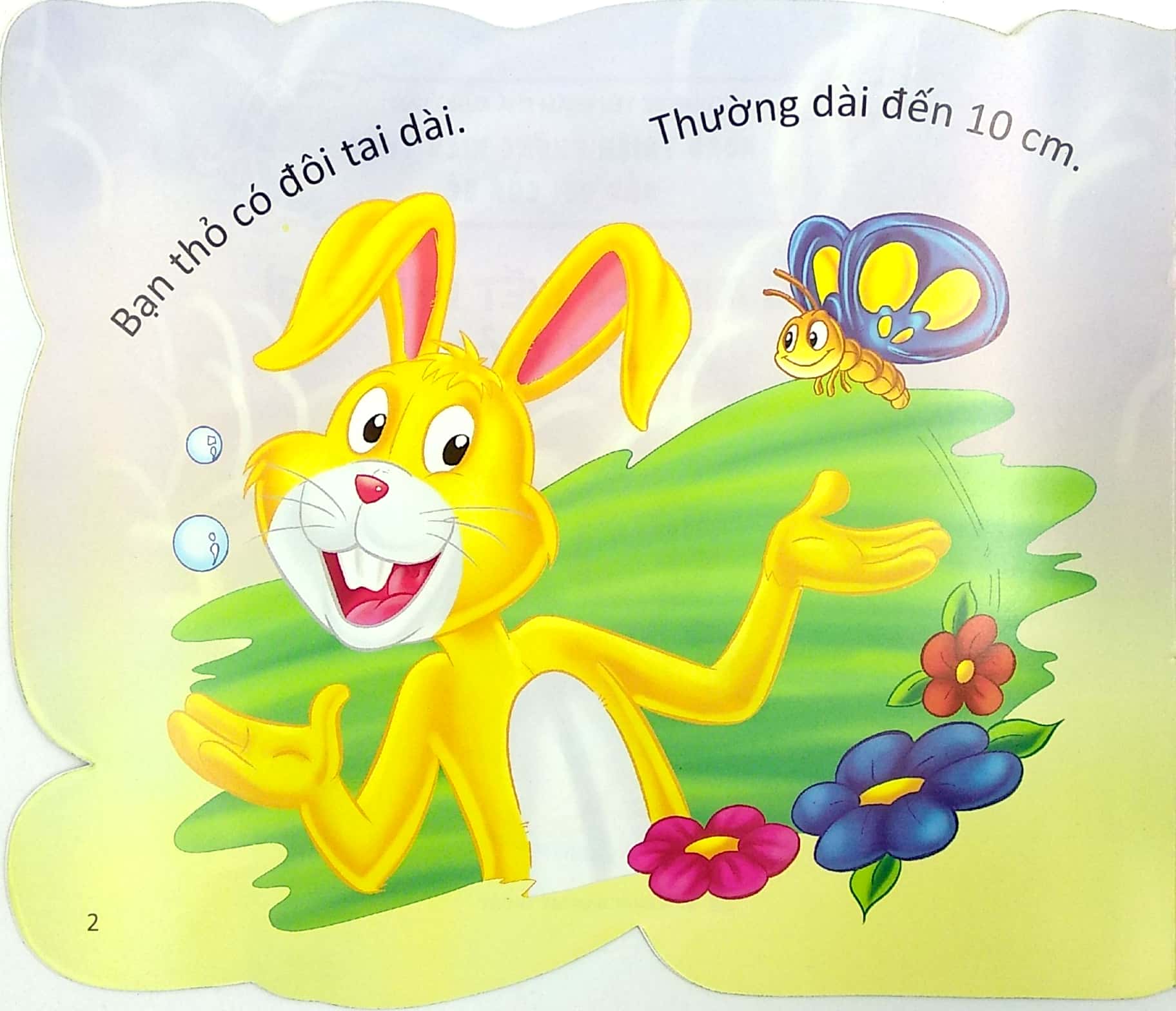 cùng bé yêu khám phá rừng xanh - chúng mình đã biết gì về loài thỏ