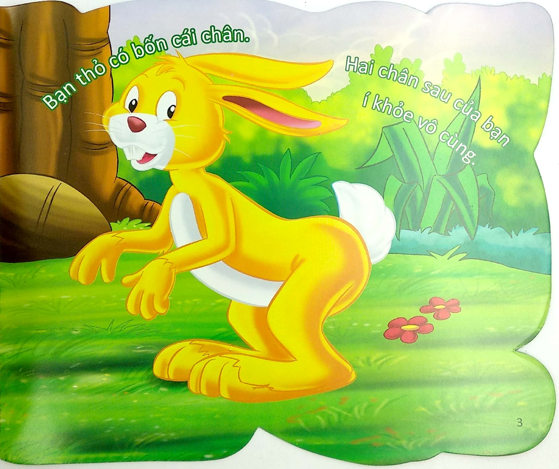 cùng bé yêu khám phá rừng xanh - chúng mình đã biết gì về loài thỏ