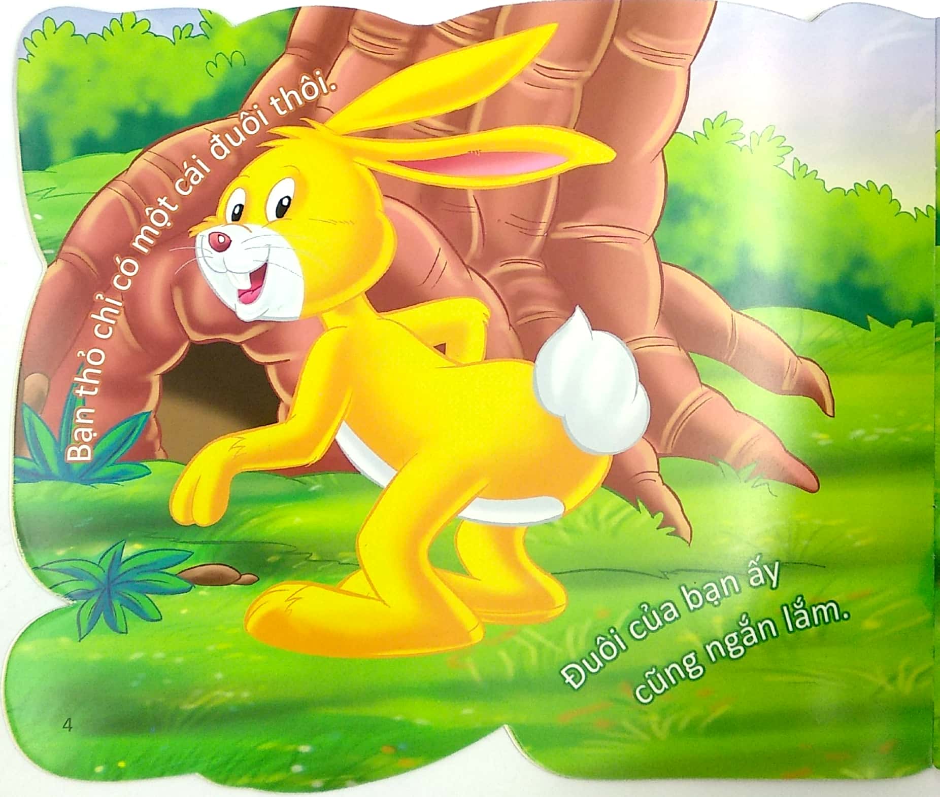 cùng bé yêu khám phá rừng xanh - chúng mình đã biết gì về loài thỏ