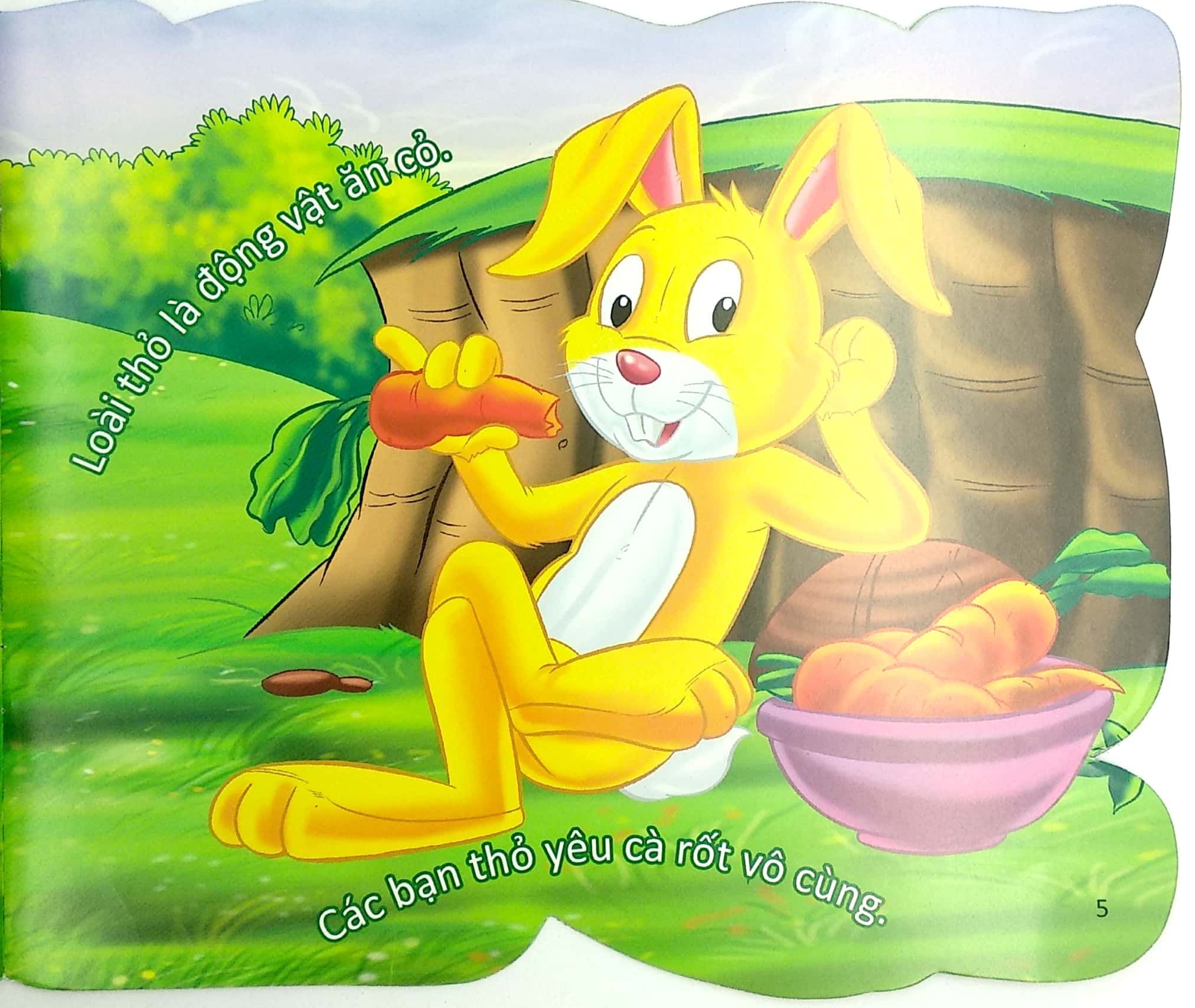 cùng bé yêu khám phá rừng xanh - chúng mình đã biết gì về loài thỏ