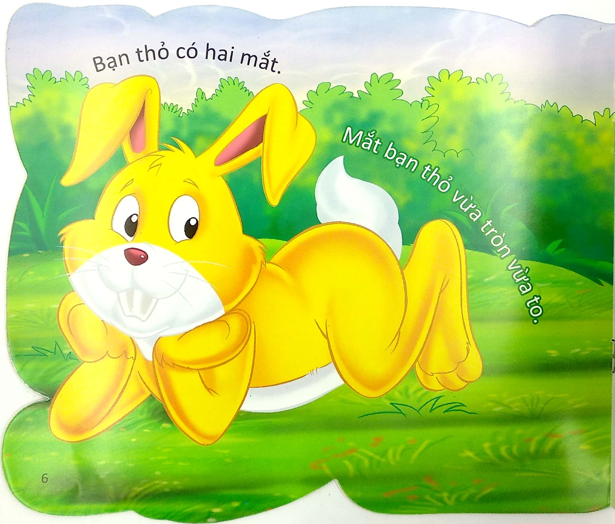 cùng bé yêu khám phá rừng xanh - chúng mình đã biết gì về loài thỏ