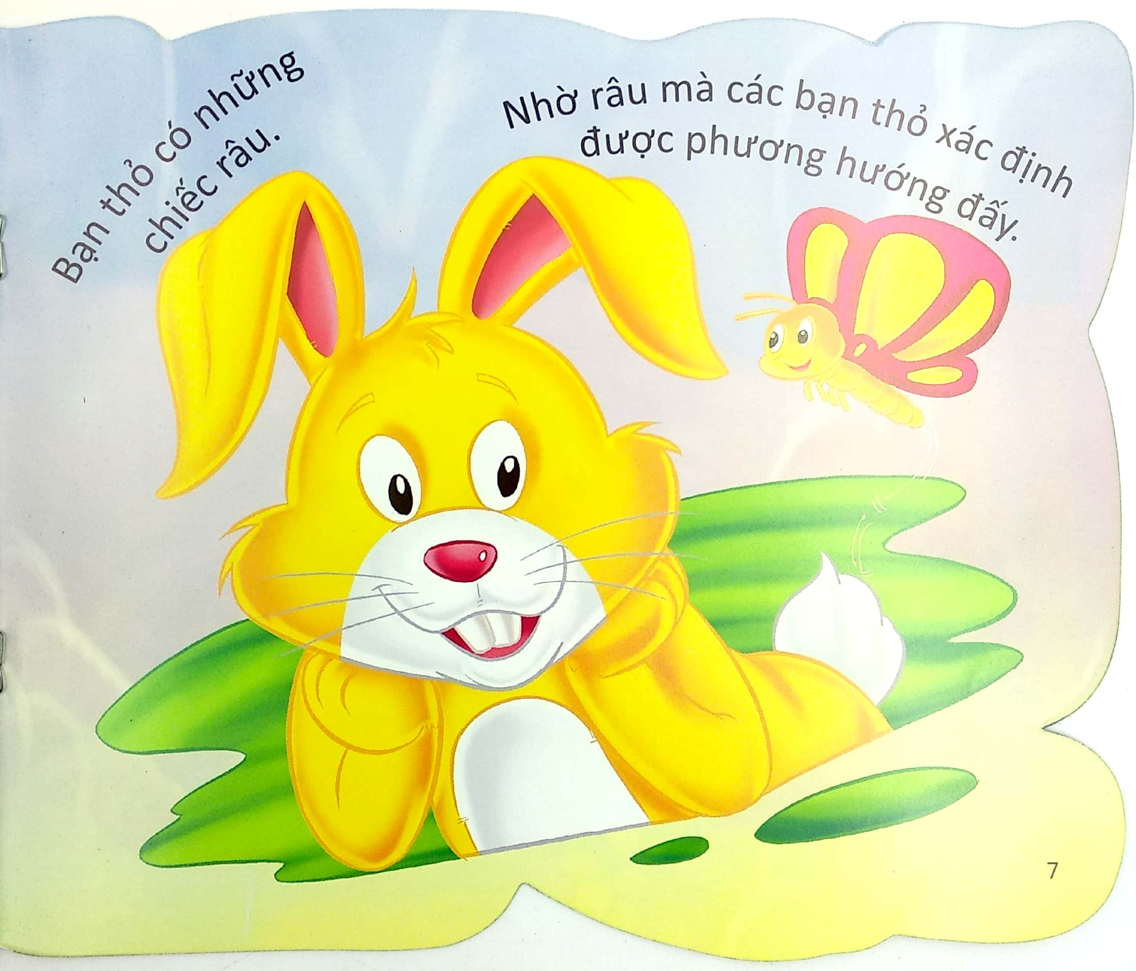 cùng bé yêu khám phá rừng xanh - chúng mình đã biết gì về loài thỏ