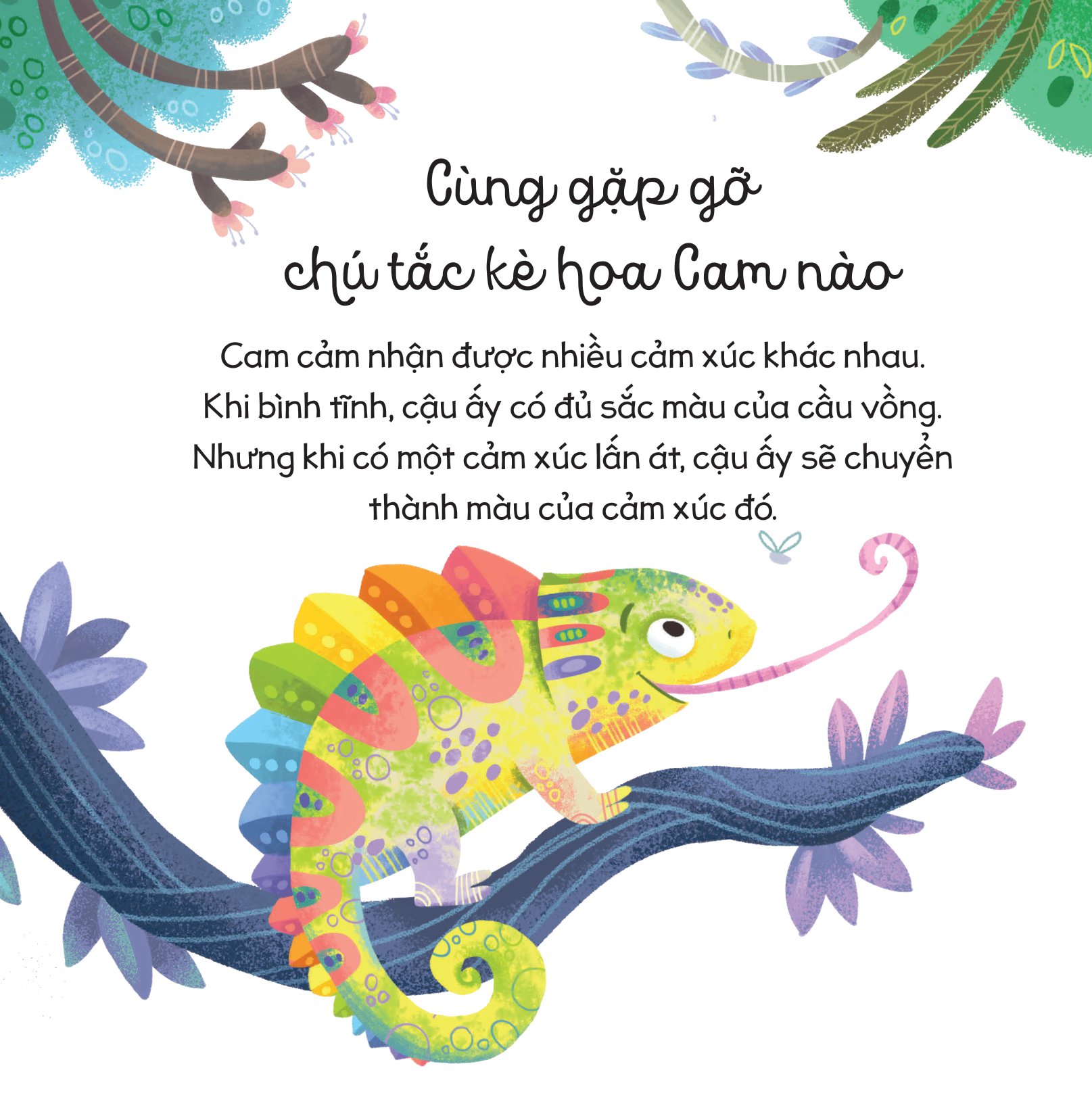 cùng con trưởng thành - cầu vồng cảm xúc (dành cho độ tuổi 3-9)