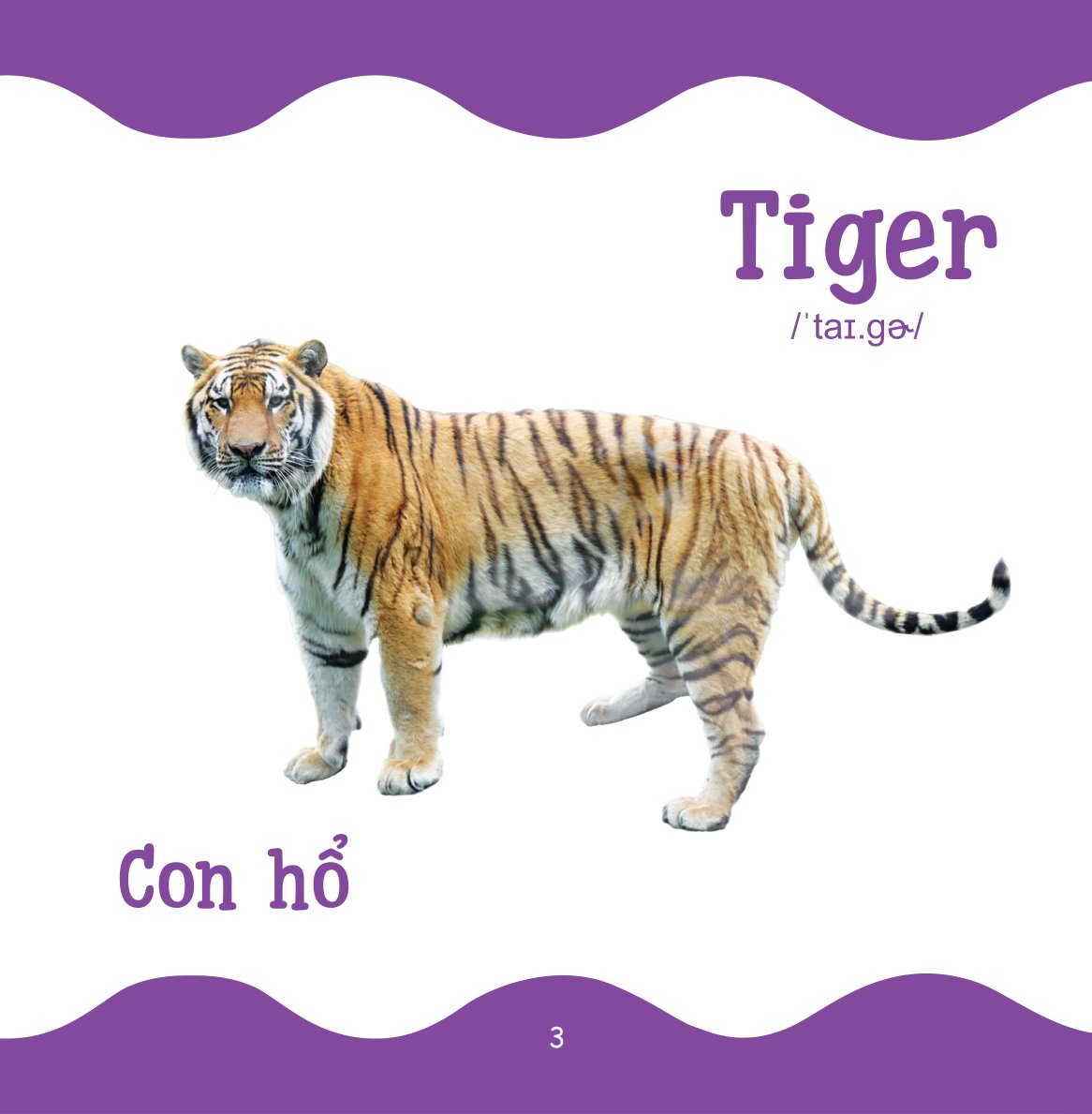 cùng con trưởng thành - từ điển bằng hình cho trẻ mầm non - động vật hoang dã