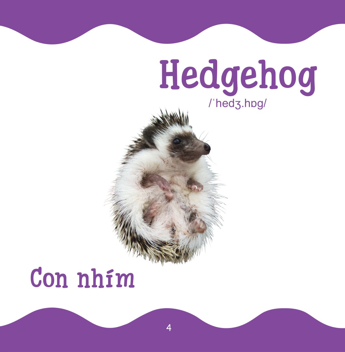 cùng con trưởng thành - từ điển bằng hình cho trẻ mầm non - động vật hoang dã