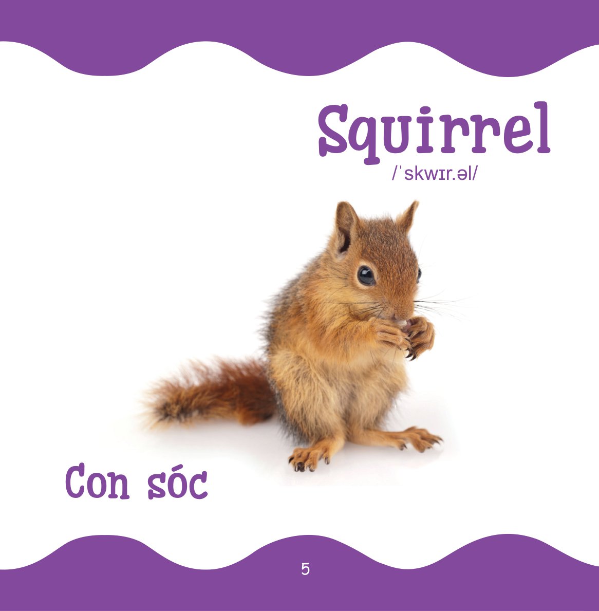 cùng con trưởng thành - từ điển bằng hình cho trẻ mầm non - động vật hoang dã