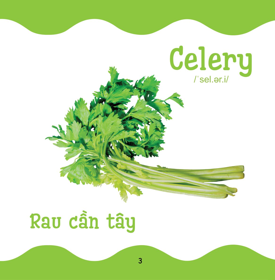 cùng con trưởng thành - từ điển bằng hình cho trẻ mầm non - rau củ quả