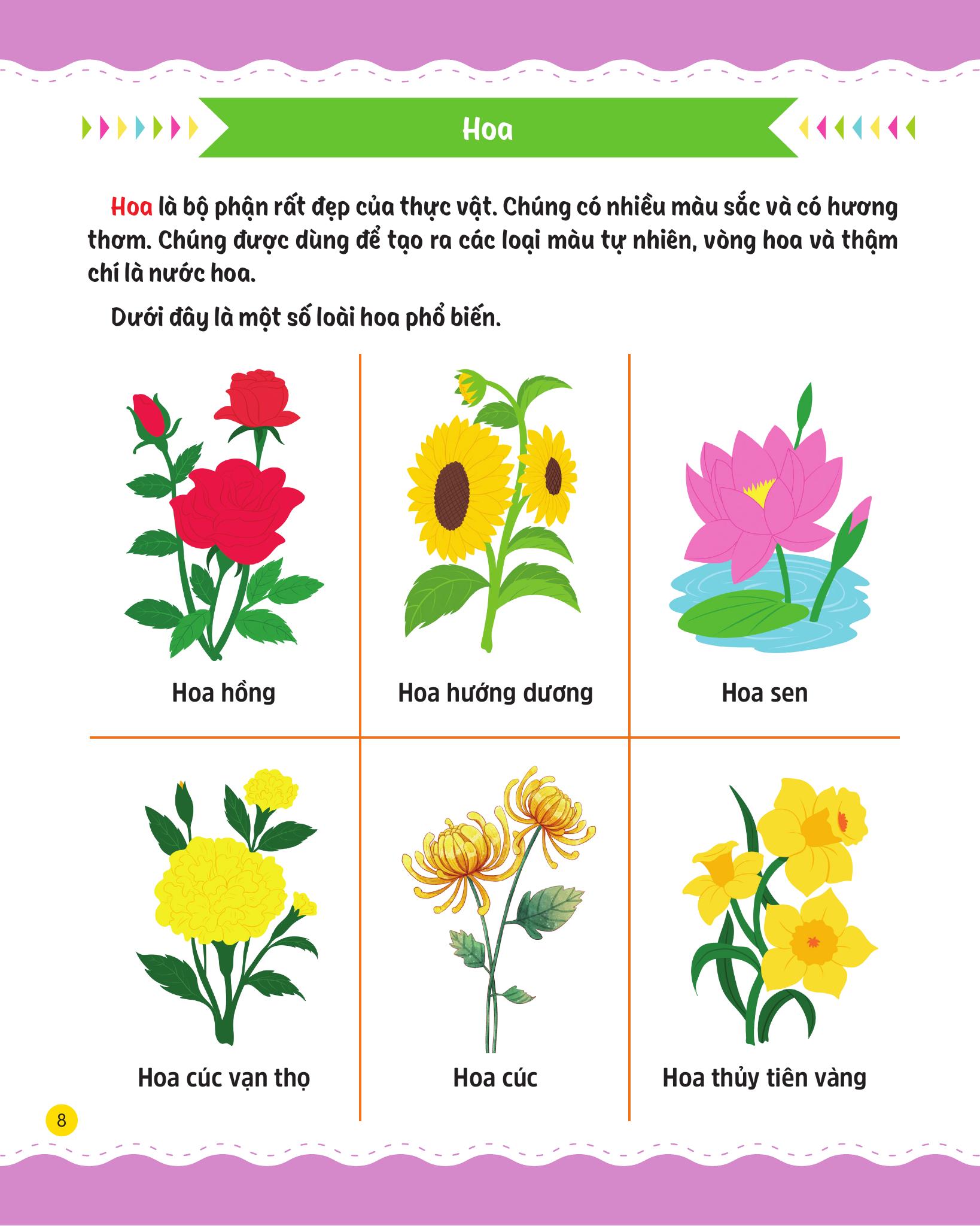 cùng em rèn luyện khoa học - cơ bản