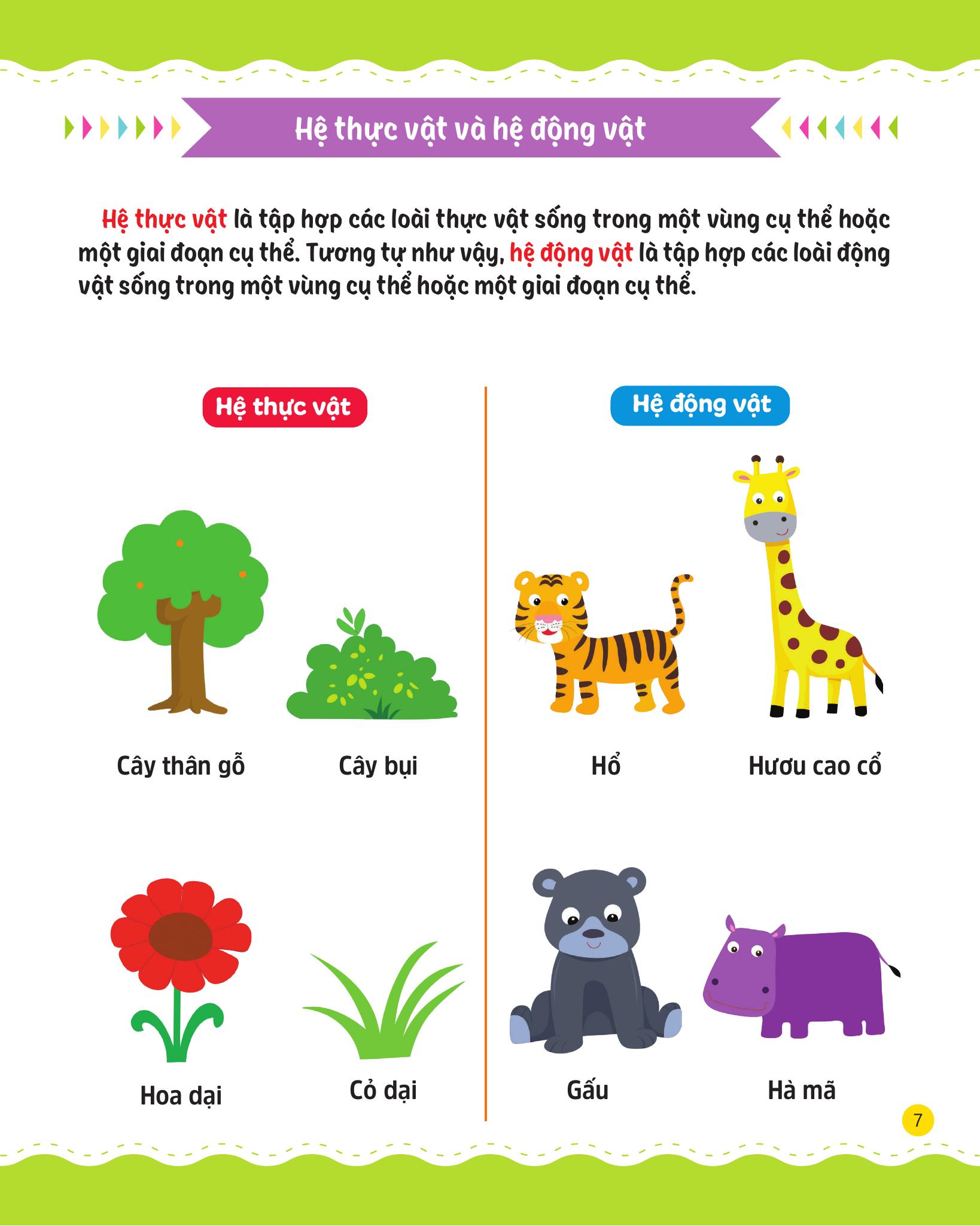 cùng em rèn luyện khoa học - cơ bản