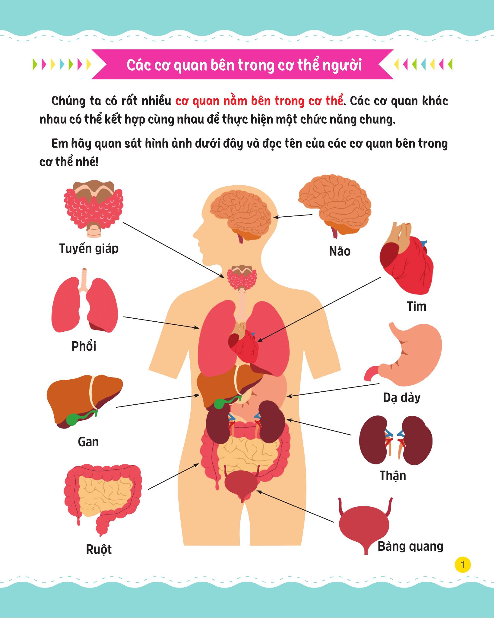 cùng em rèn luyện khoa học - nâng cao