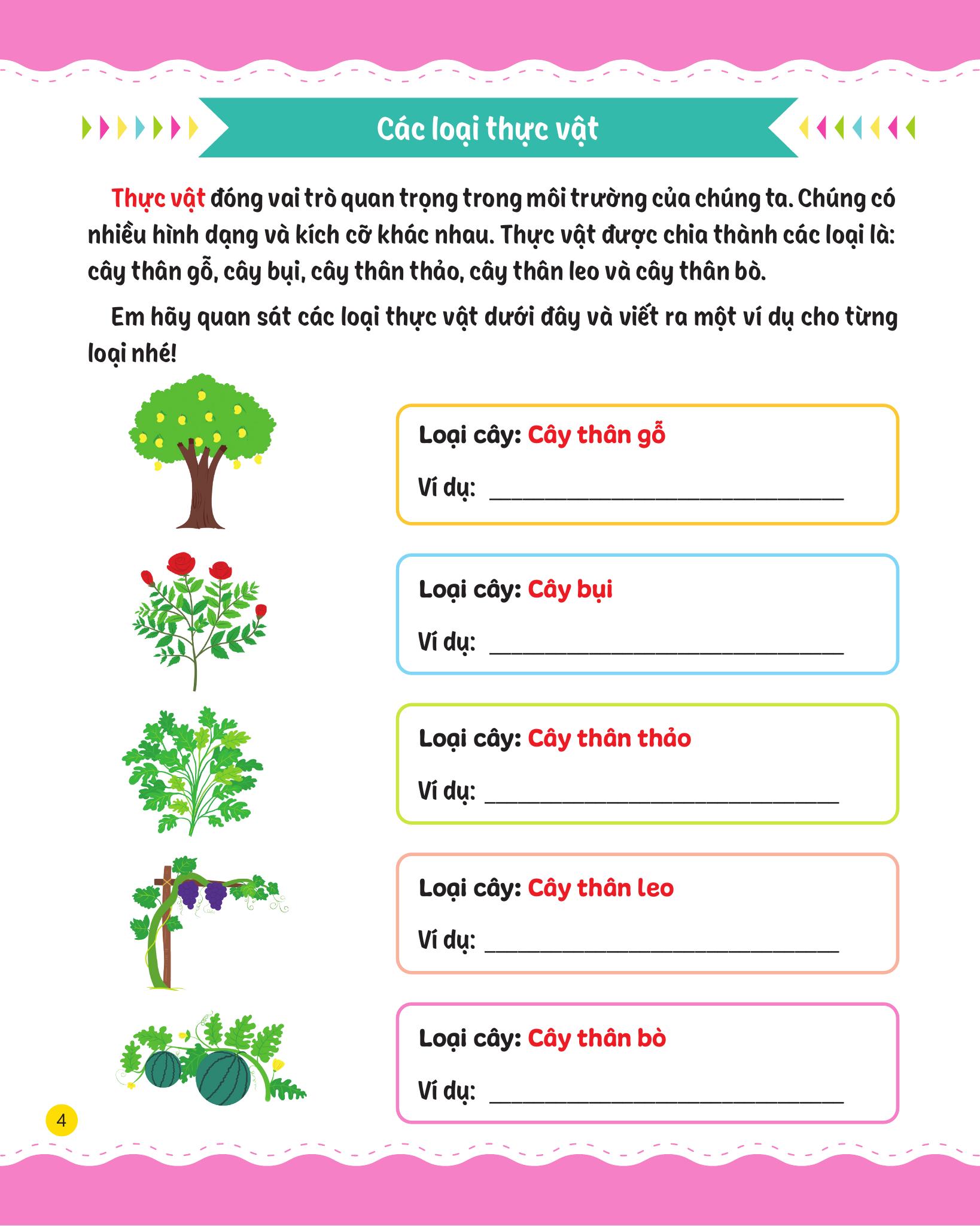 cùng em rèn luyện khoa học - nâng cao