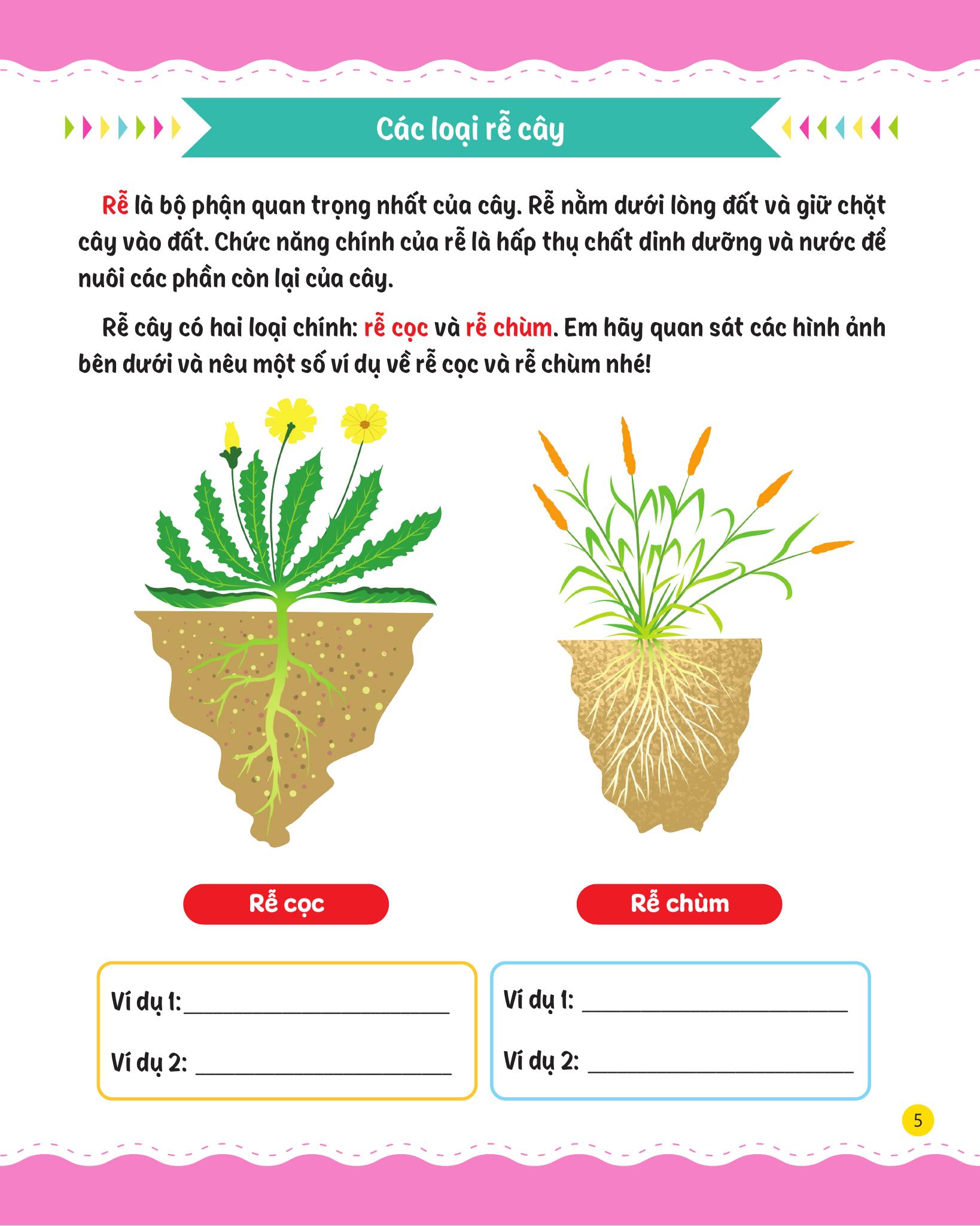 cùng em rèn luyện khoa học - nâng cao