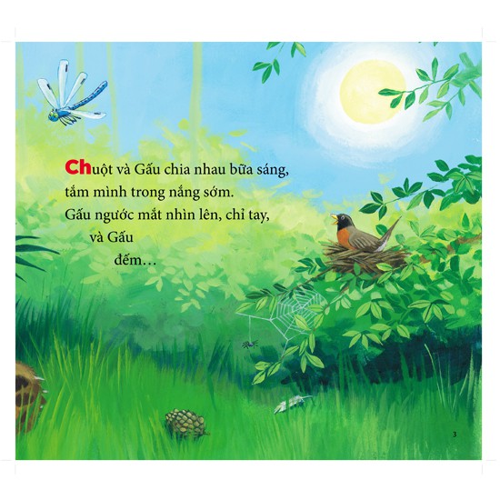 cùng gấu khám phá - the bear books: gấu học đếm - bear counts (song ngữ)
