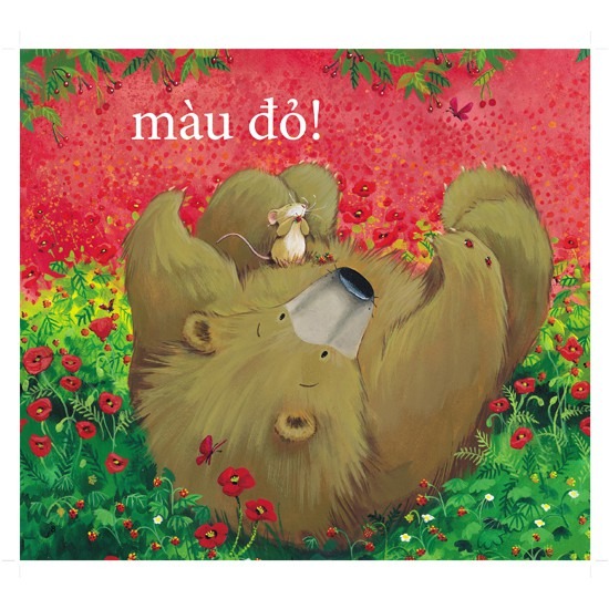 cùng gấu khám phá - the bear books: gấu nhận biết màu sắc - bear sees colors (song ngữ)