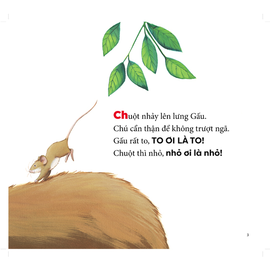 cùng gấu khám phá - the bear books: gấu to, chuột nhỏ - big bear, small mouse (song ngữ)
