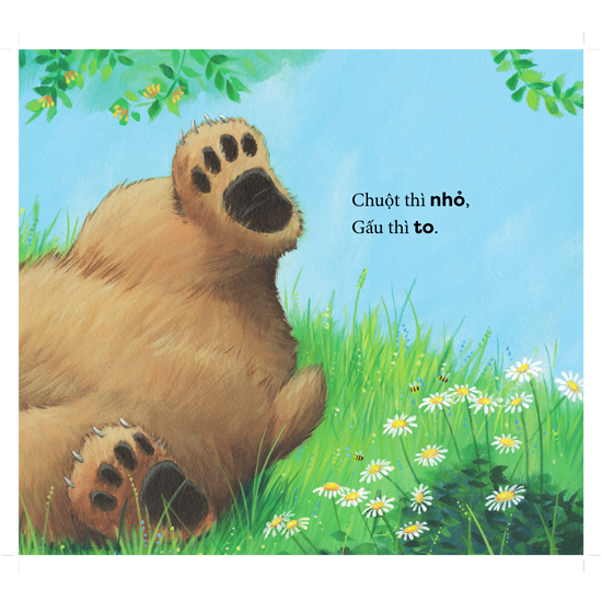cùng gấu khám phá - the bear books: gấu to, chuột nhỏ - big bear, small mouse (song ngữ)
