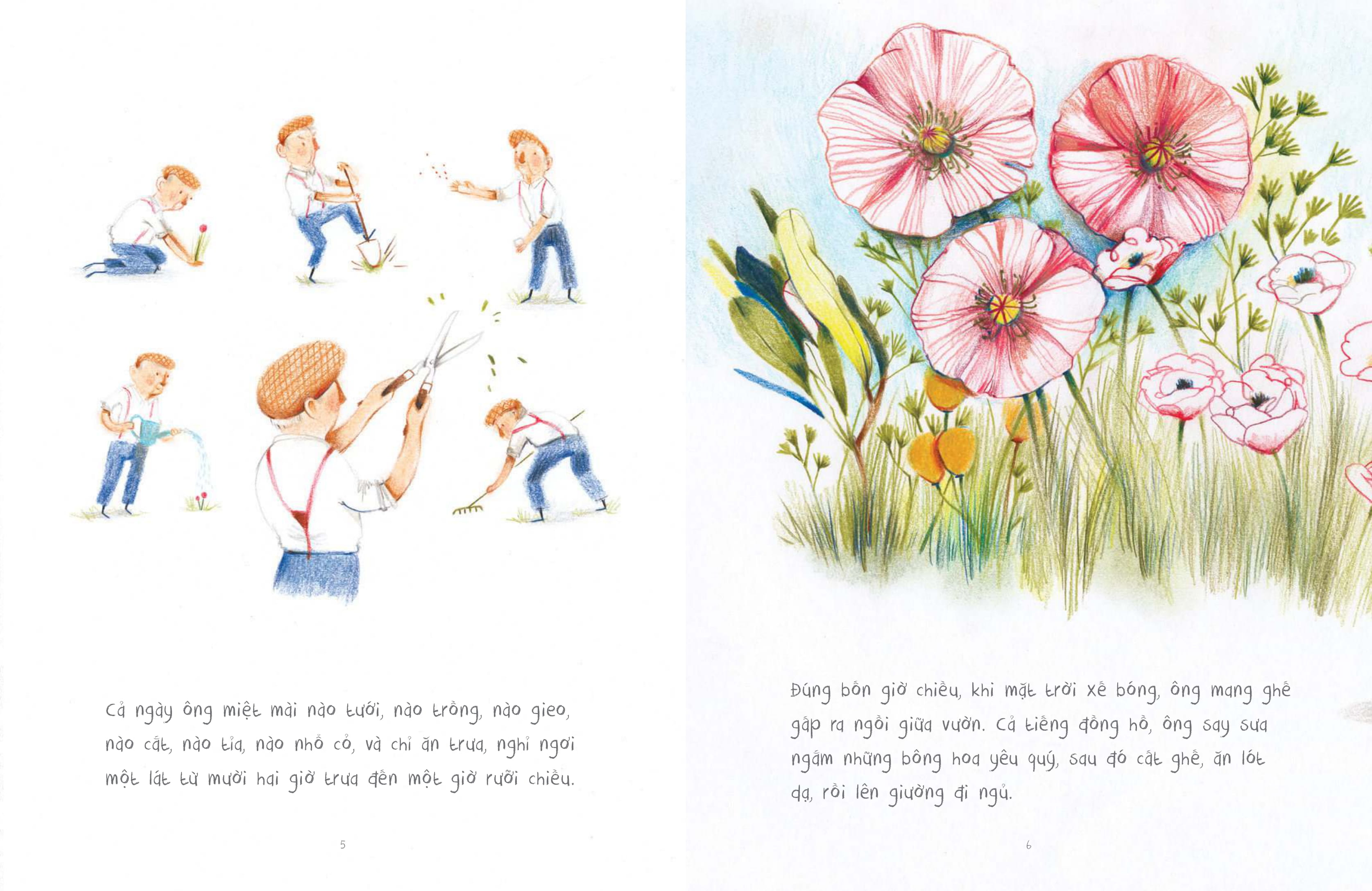 cung hoàng đạo thông điệp từ các vì sao