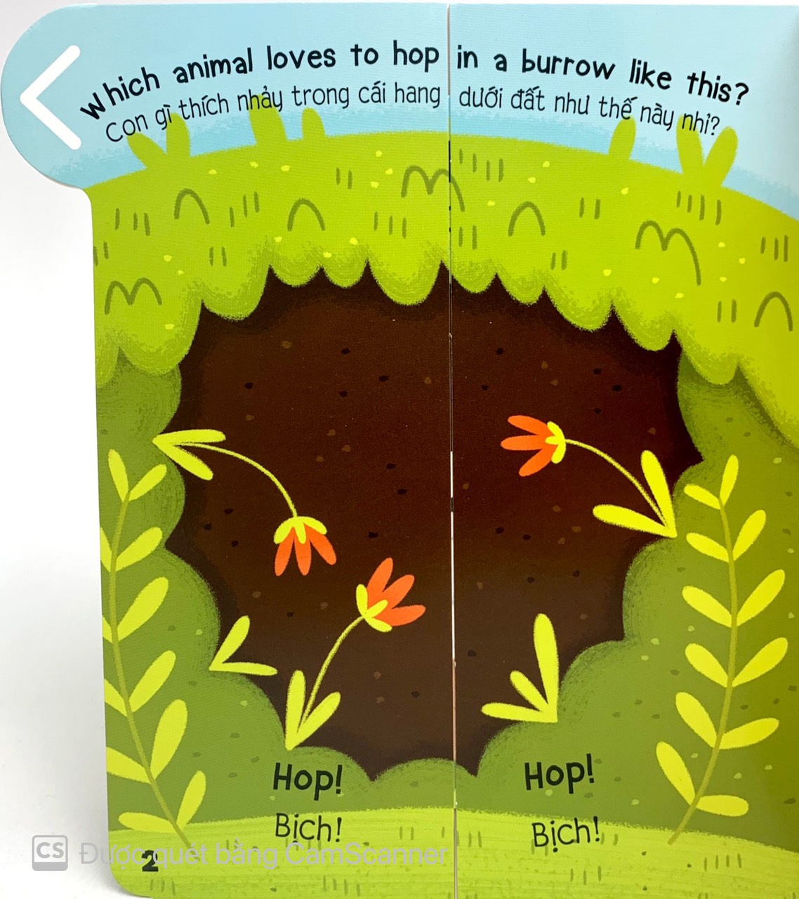 cùng kéo và nhìn: animals - các loài động vật