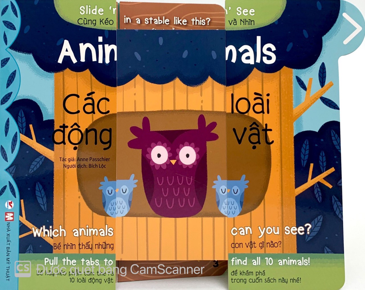 cùng kéo và nhìn: animals - các loài động vật