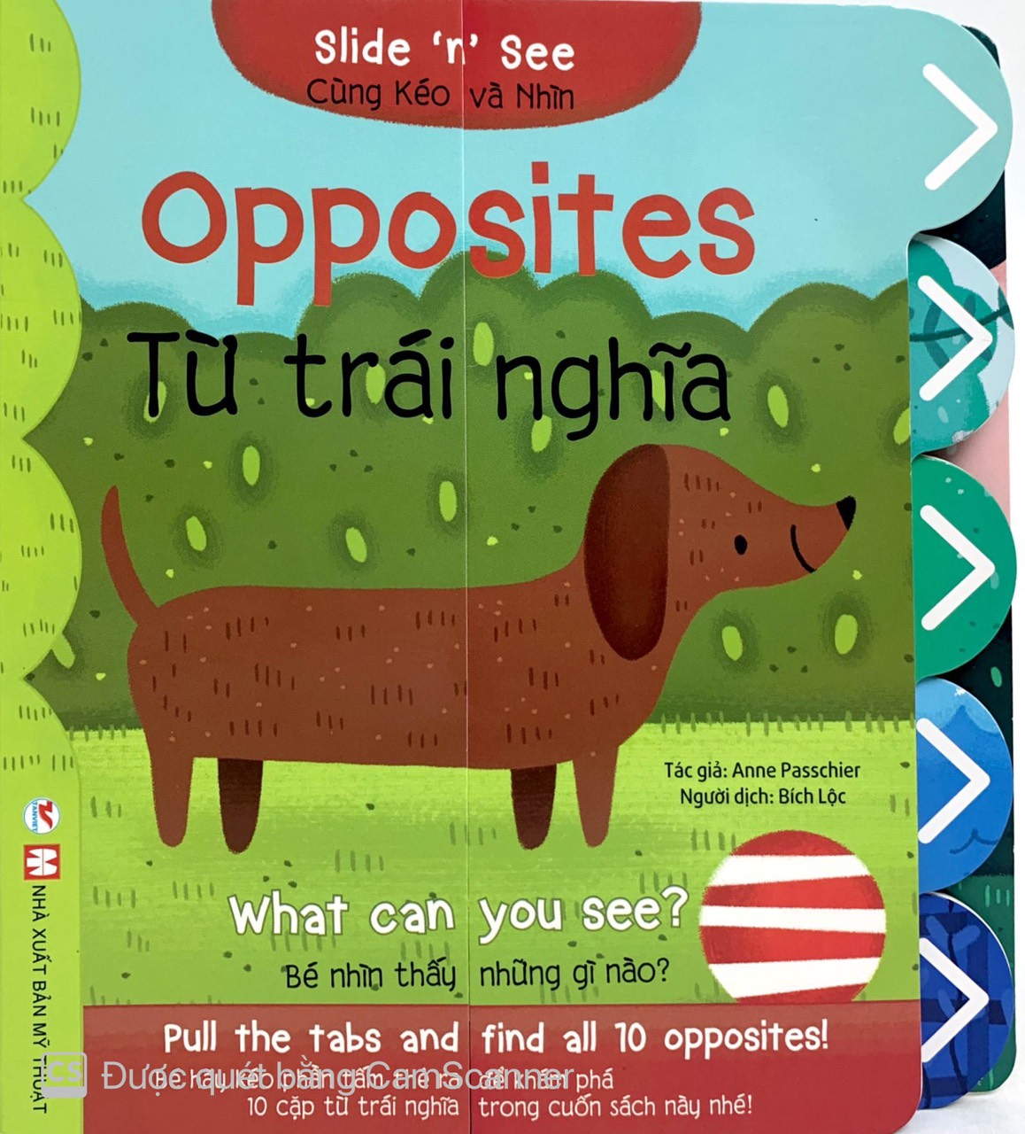 cùng kéo và nhìn: opposites - từ trái nghĩa
