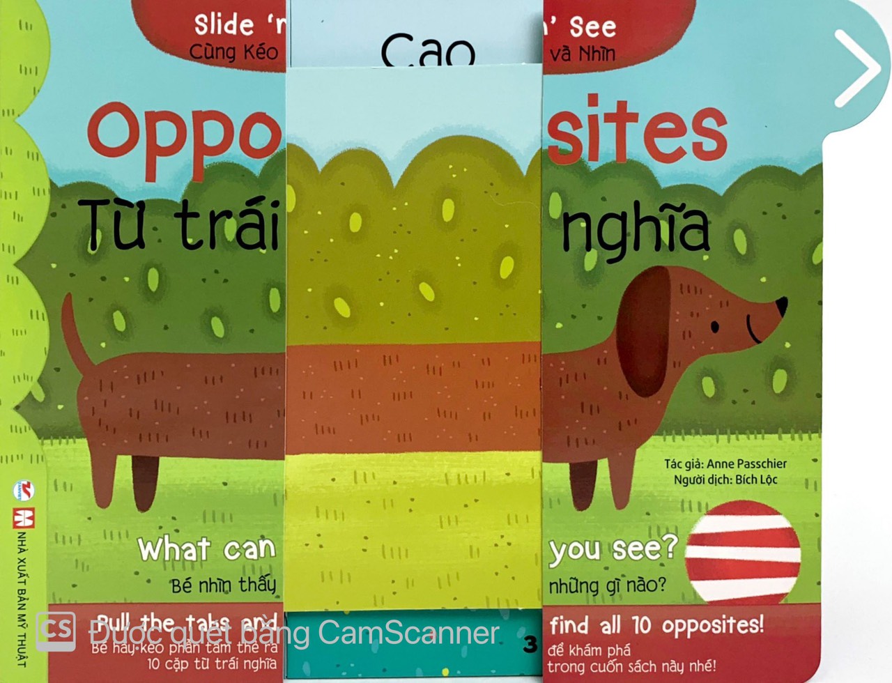 cùng kéo và nhìn: opposites - từ trái nghĩa