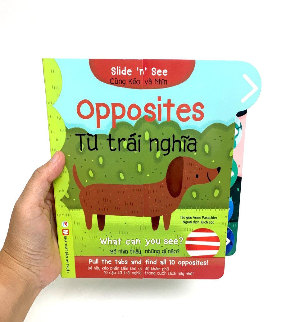 cùng kéo và nhìn: opposites - từ trái nghĩa