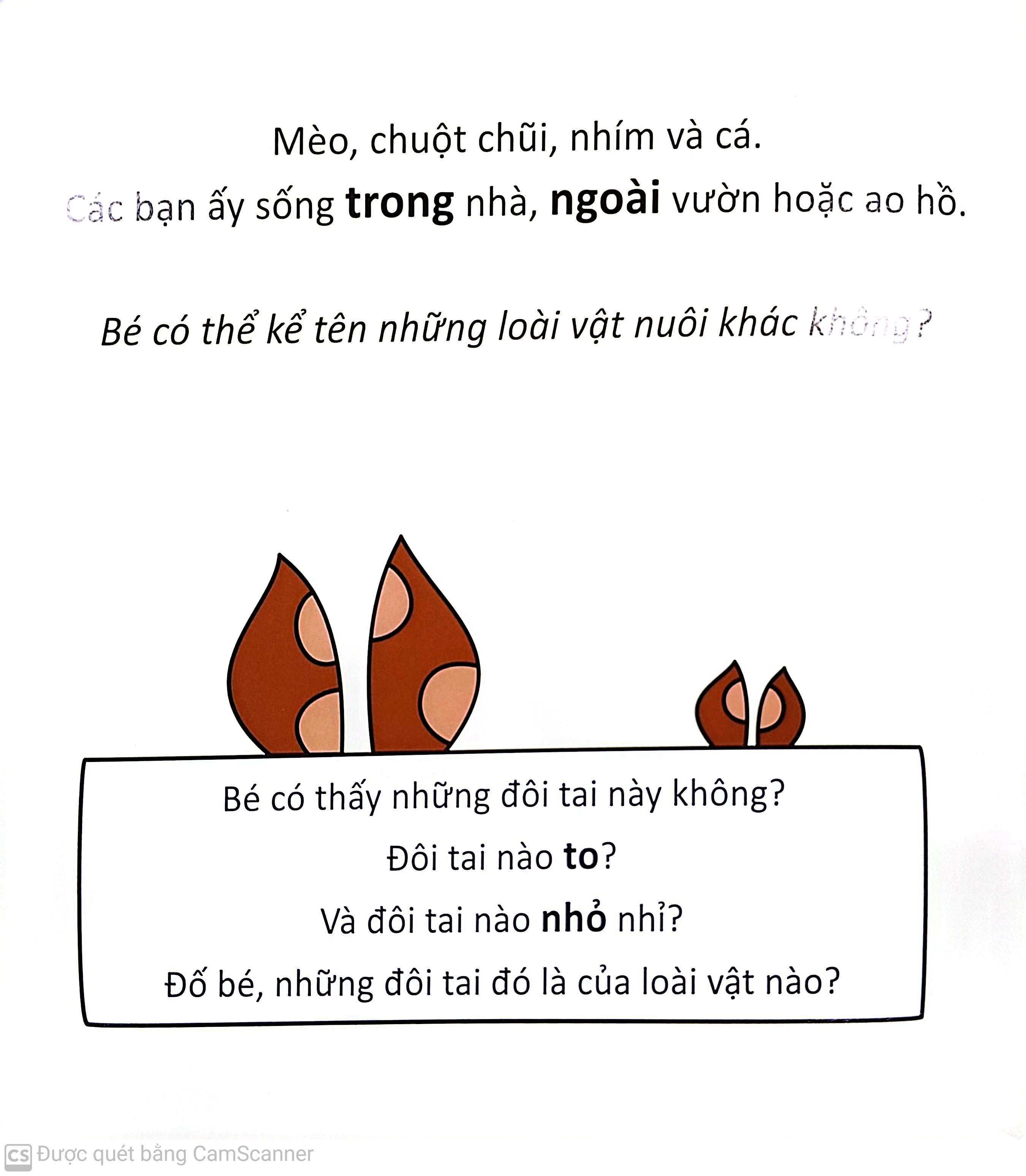 cùng tìm với bé - các bạn động vật trốn ở đâu?