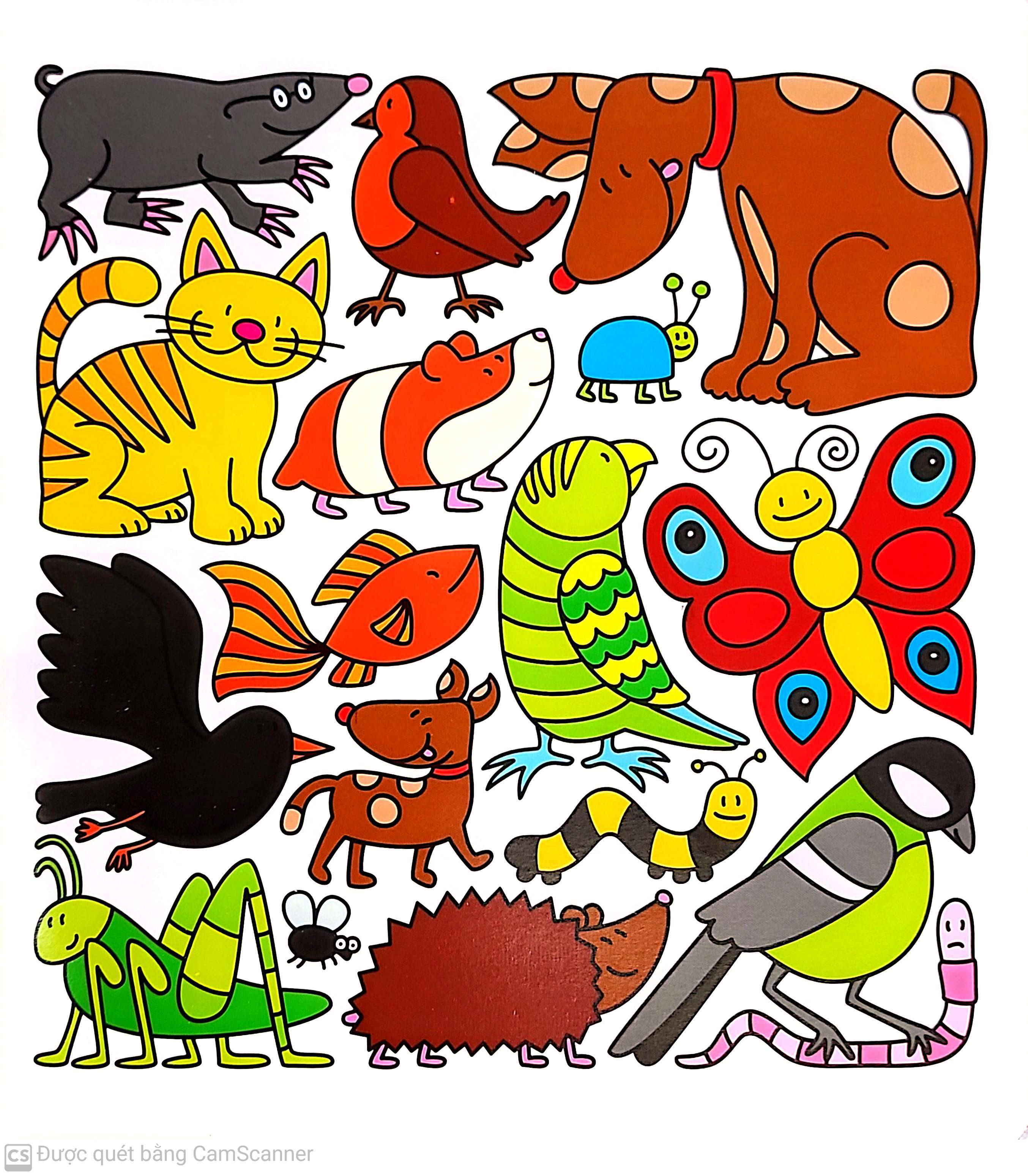 cùng tìm với bé - các bạn động vật trốn ở đâu?