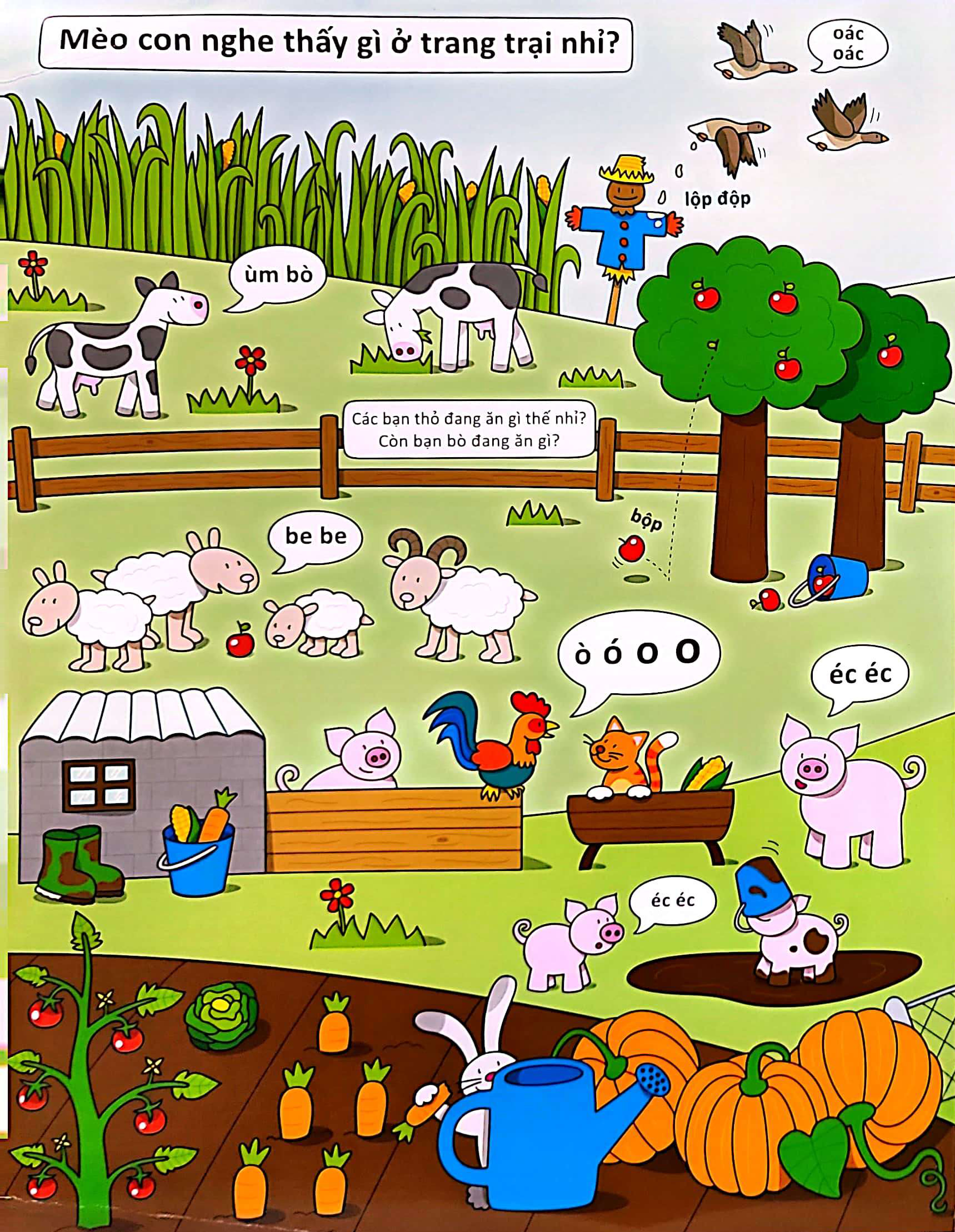 cùng tìm với bé - mèo con nghe thấy gì?