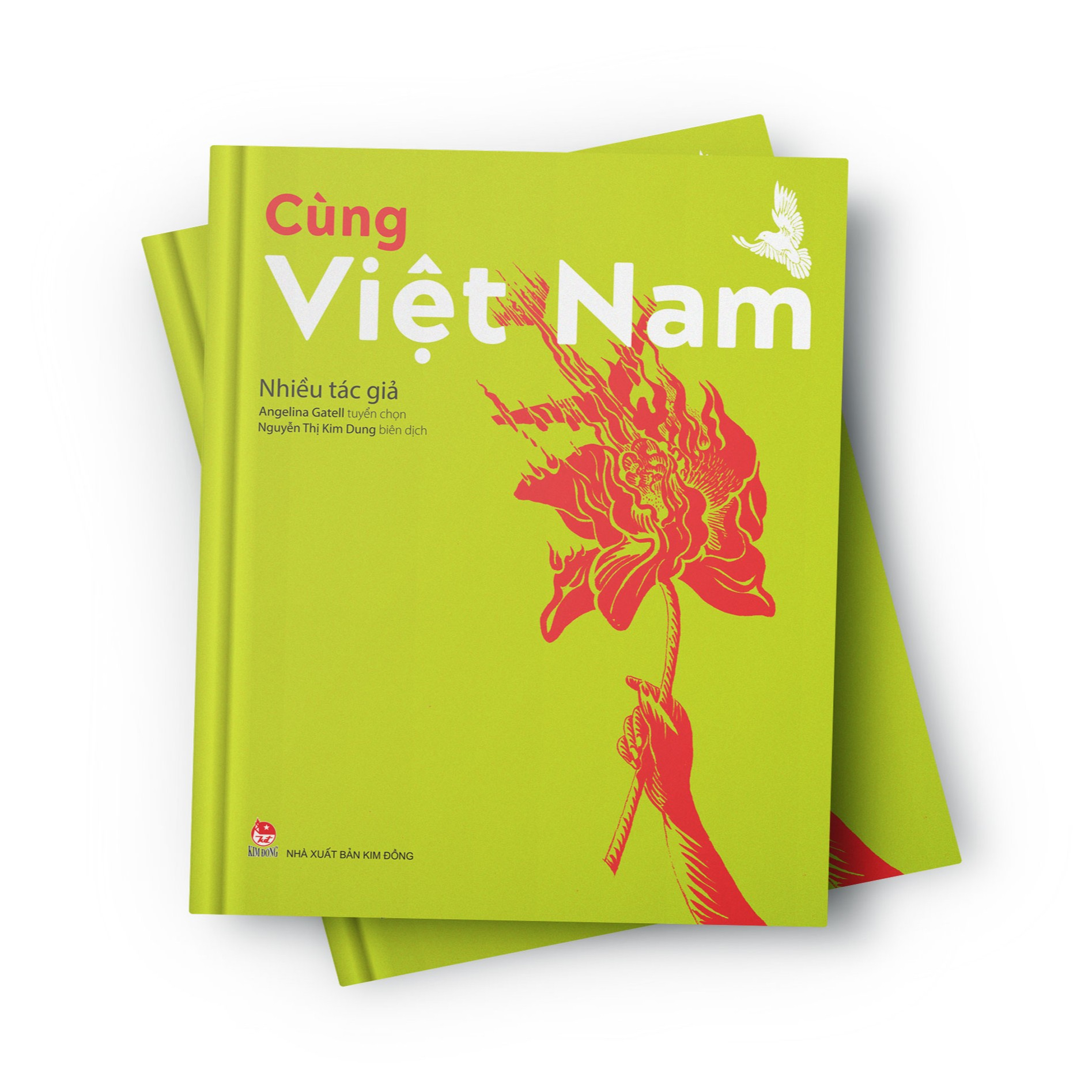 cùng việt nam - bìa cứng