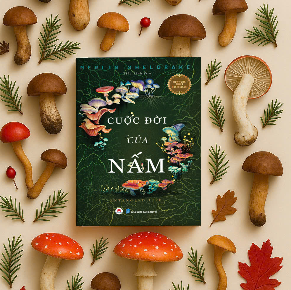 Cuoc Doi Cua Nam - Entangled Life