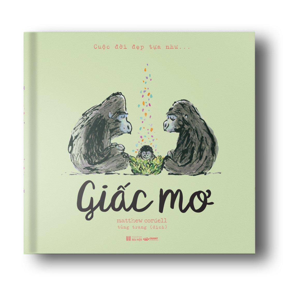 cuộc đời đẹp tựa như … giấc mơ - bìa cứng