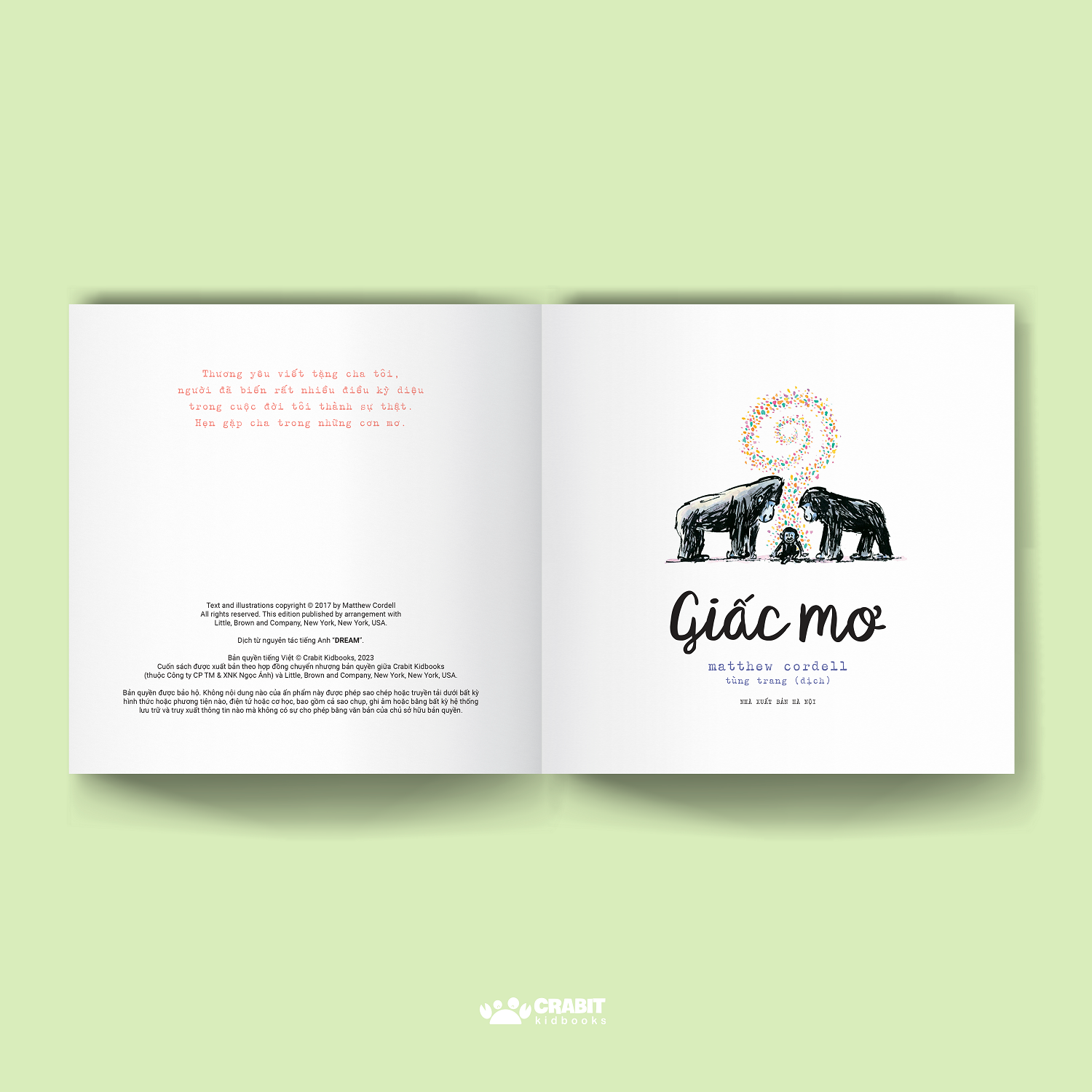 cuộc đời đẹp tựa như … giấc mơ - bìa cứng