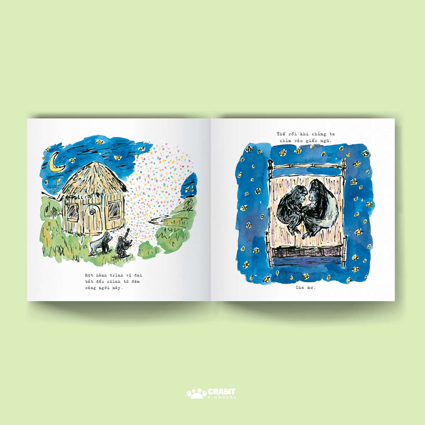 cuộc đời đẹp tựa như … giấc mơ - bìa cứng