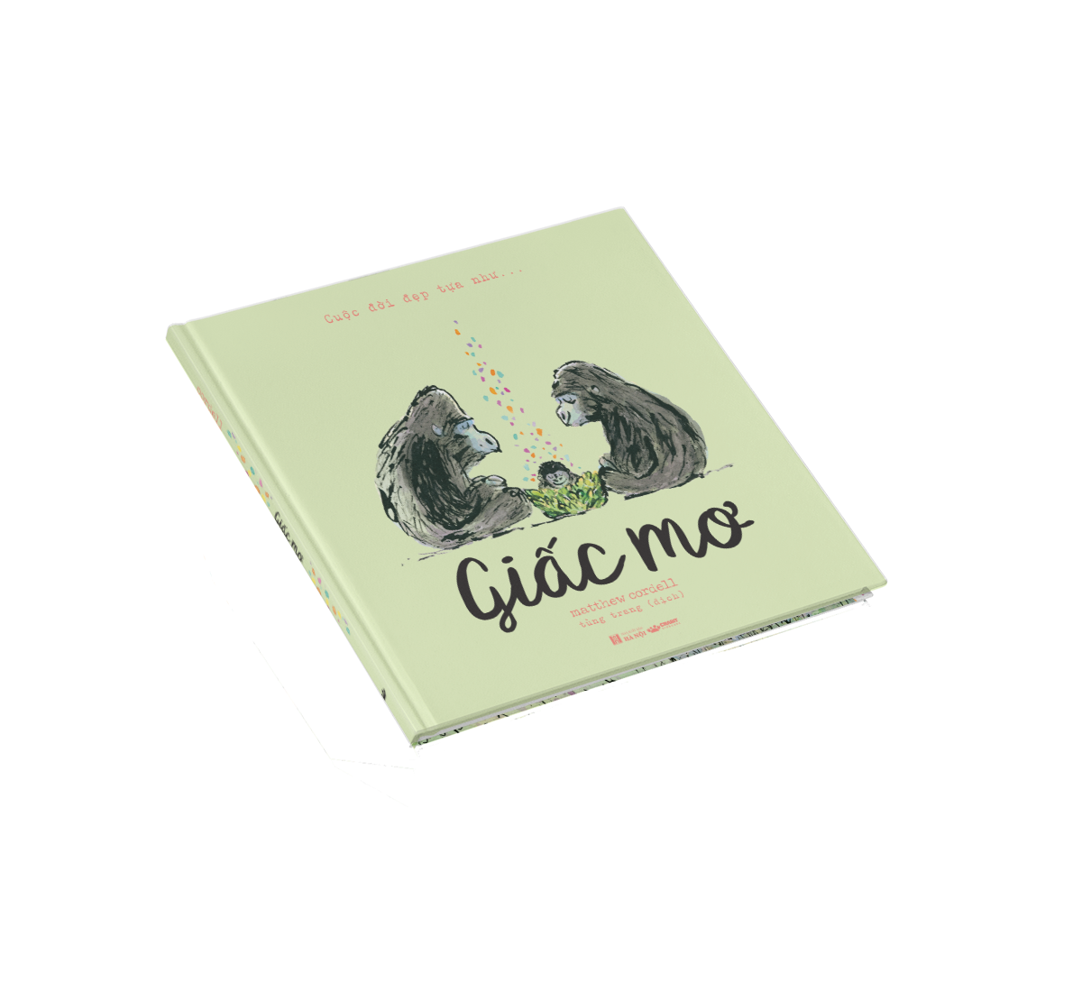 cuộc đời đẹp tựa như … giấc mơ - bìa cứng