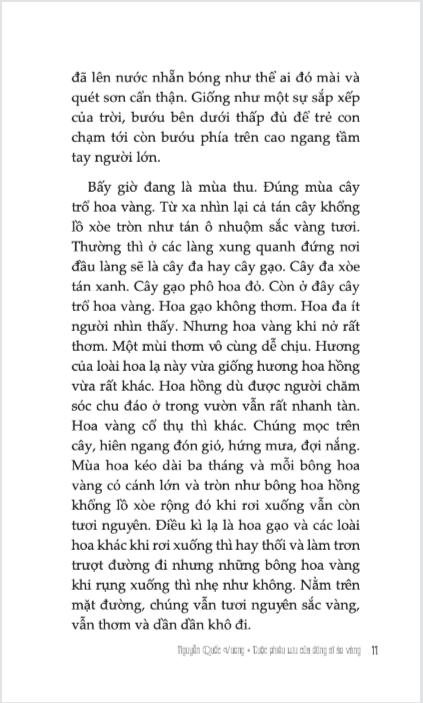 Cuoc Phieu Luu Cua Dung Si Ao Vang