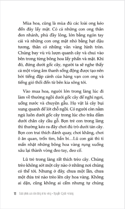 Cuoc Phieu Luu Cua Dung Si Ao Vang