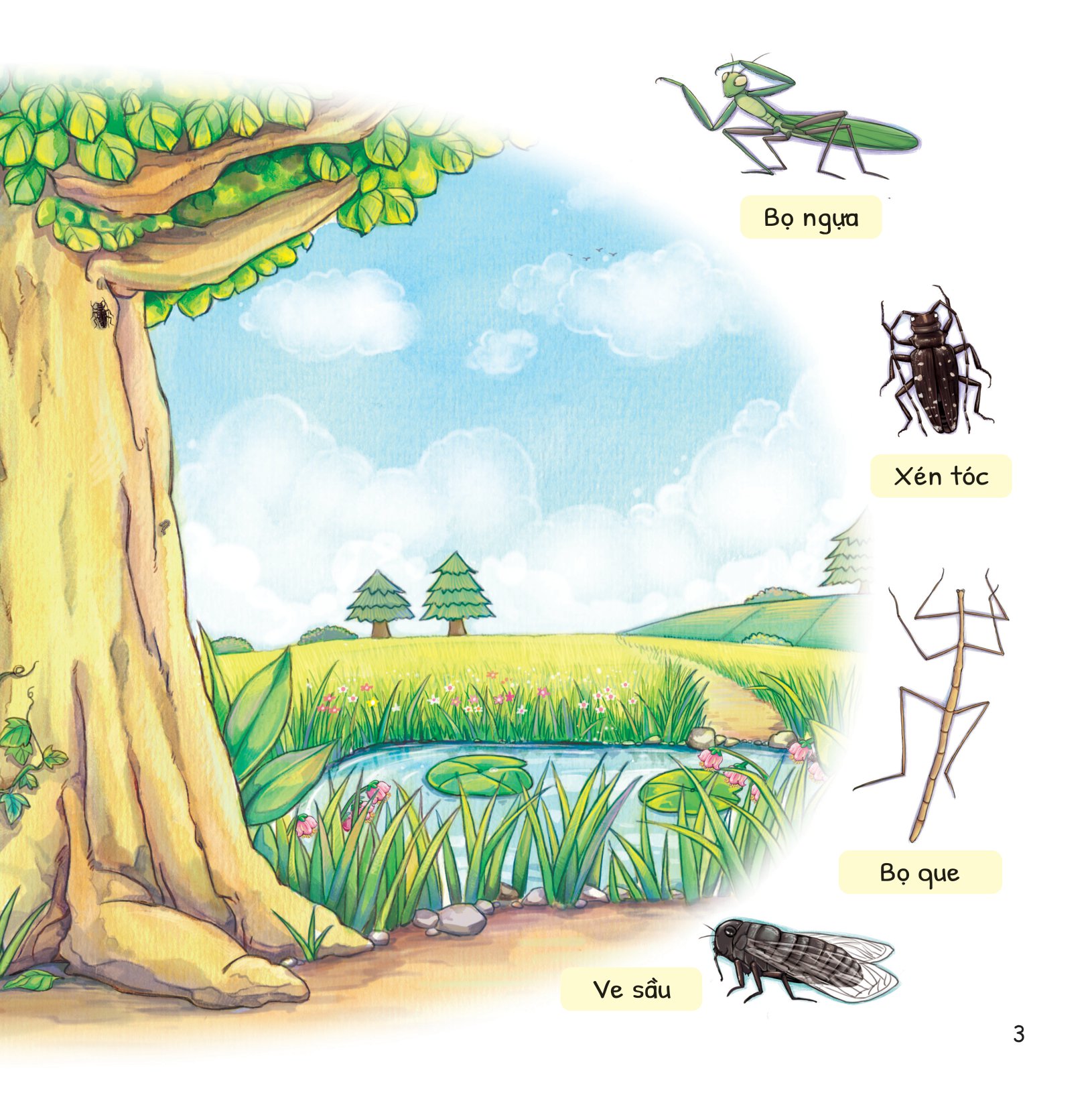 cuộc phiêu lưu của mèo tí hon - trong bụi cây