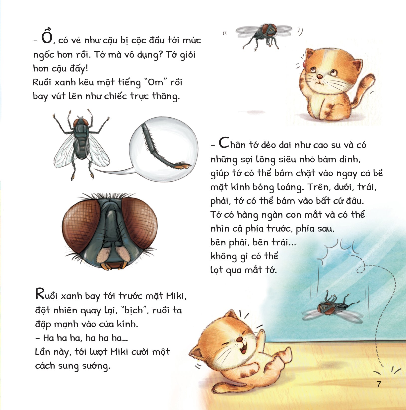 cuộc phiêu lưu của mèo tí hon - trong căn phòng