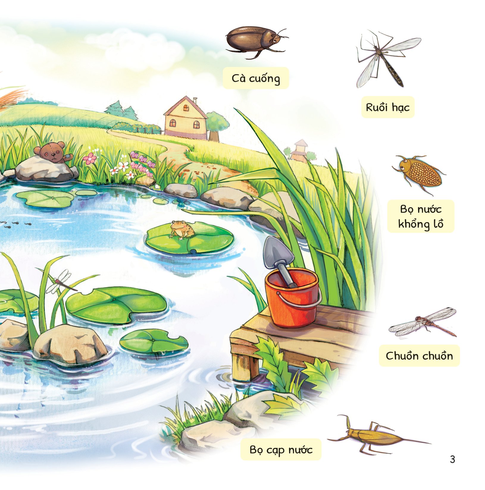 cuộc phiêu lưu của mèo tí hon - trong hồ nước