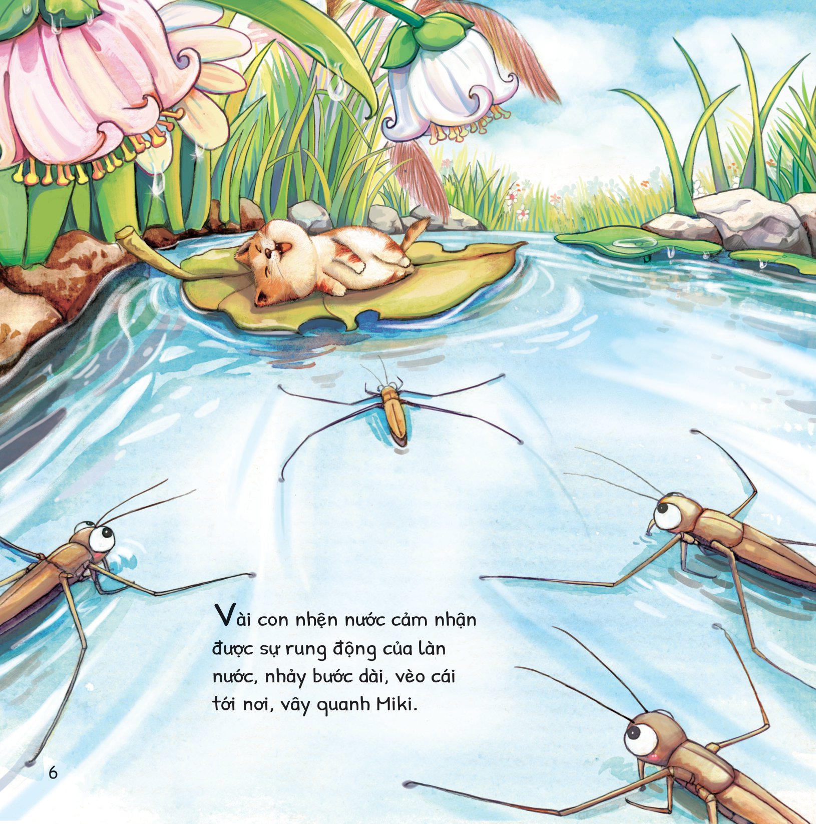 cuộc phiêu lưu của mèo tí hon - trong hồ nước