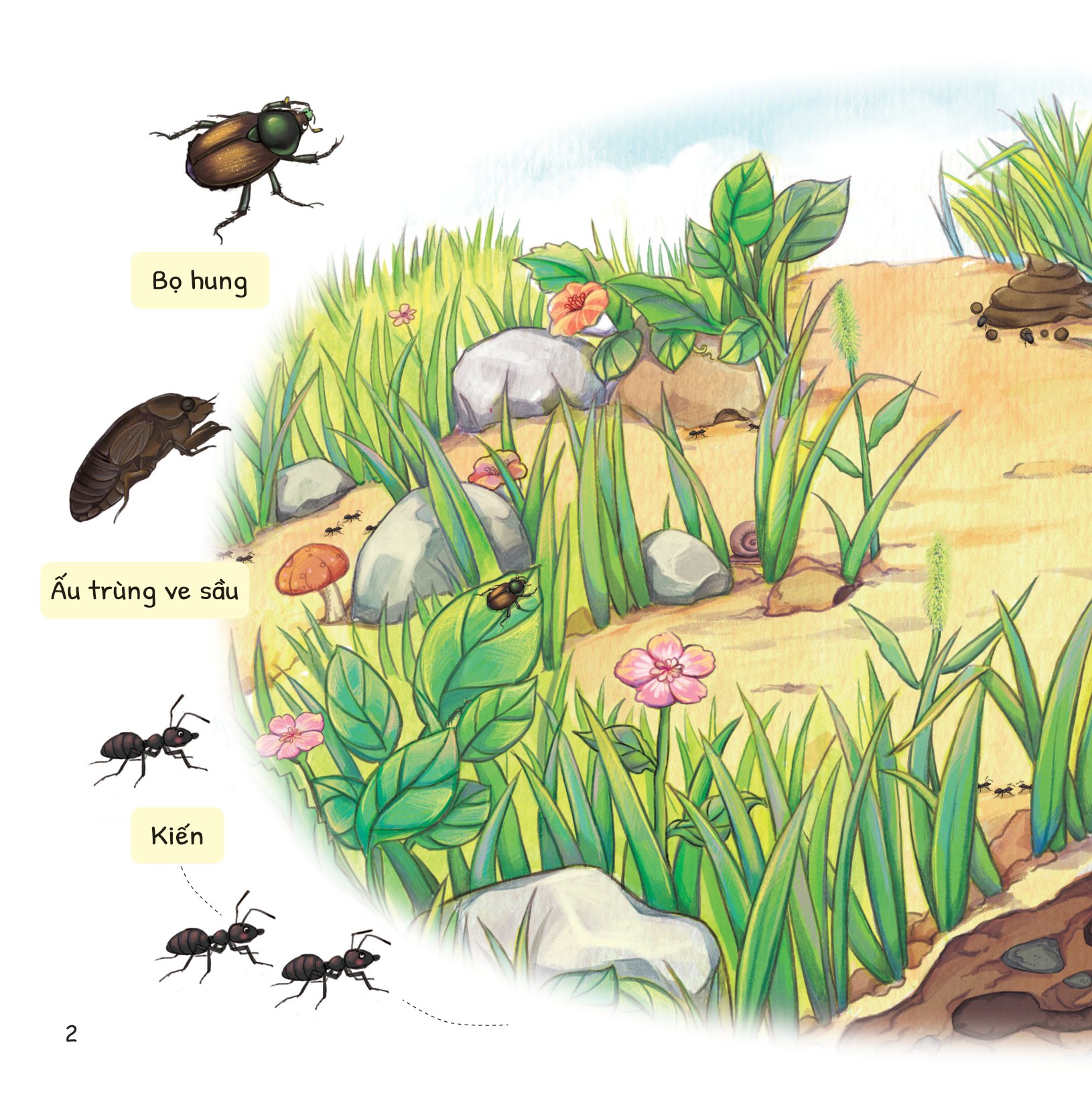 cuộc phiêu lưu của mèo tí hon - trong lòng đất