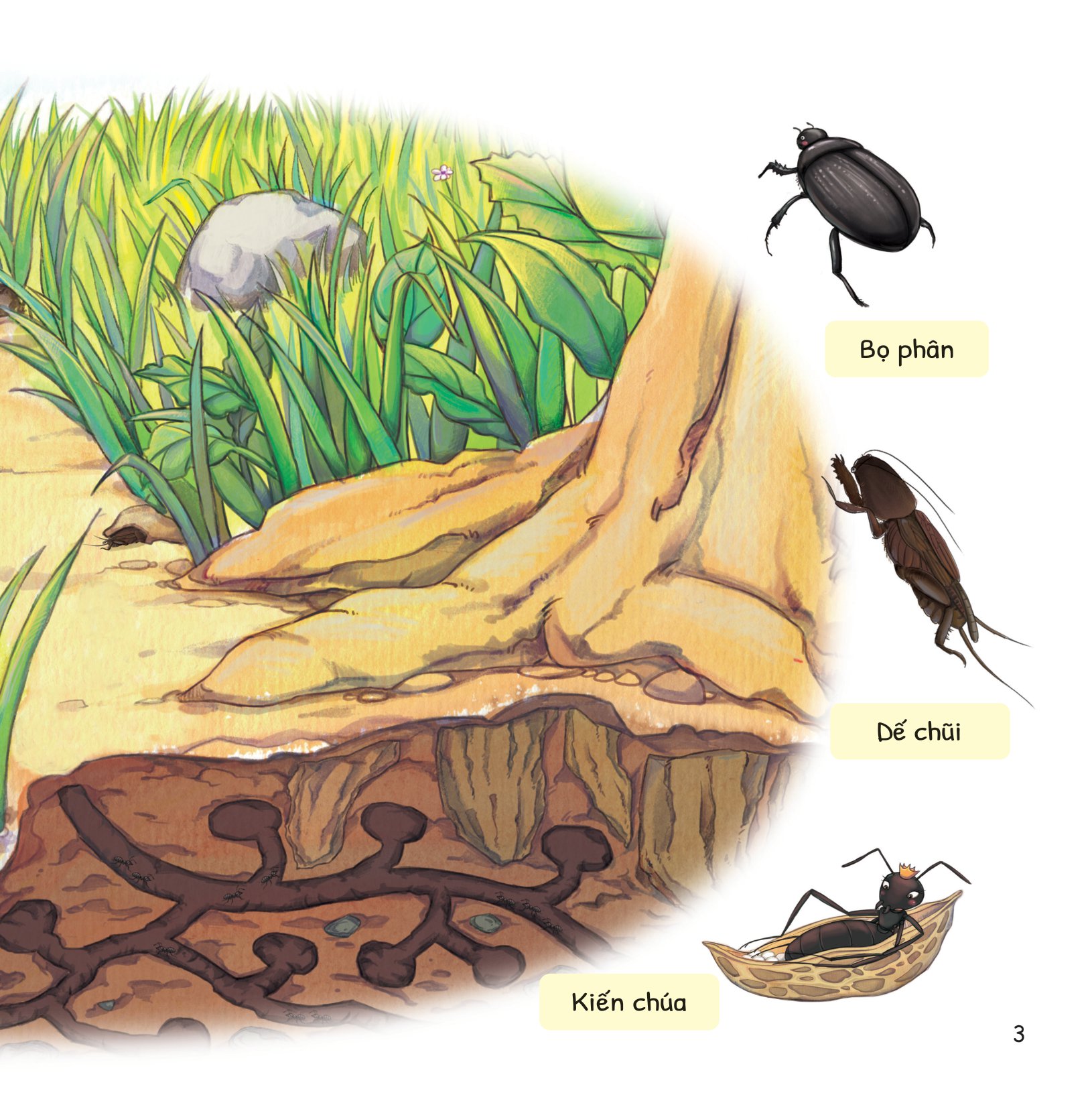 cuộc phiêu lưu của mèo tí hon - trong lòng đất