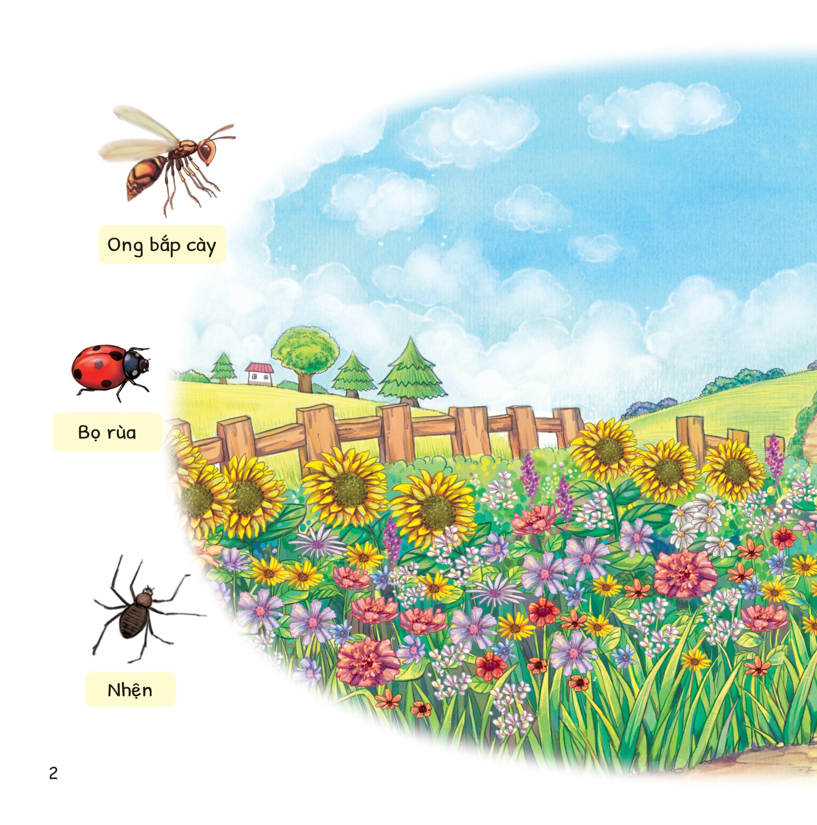 cuộc phiêu lưu của mèo tí hon - trong vườn