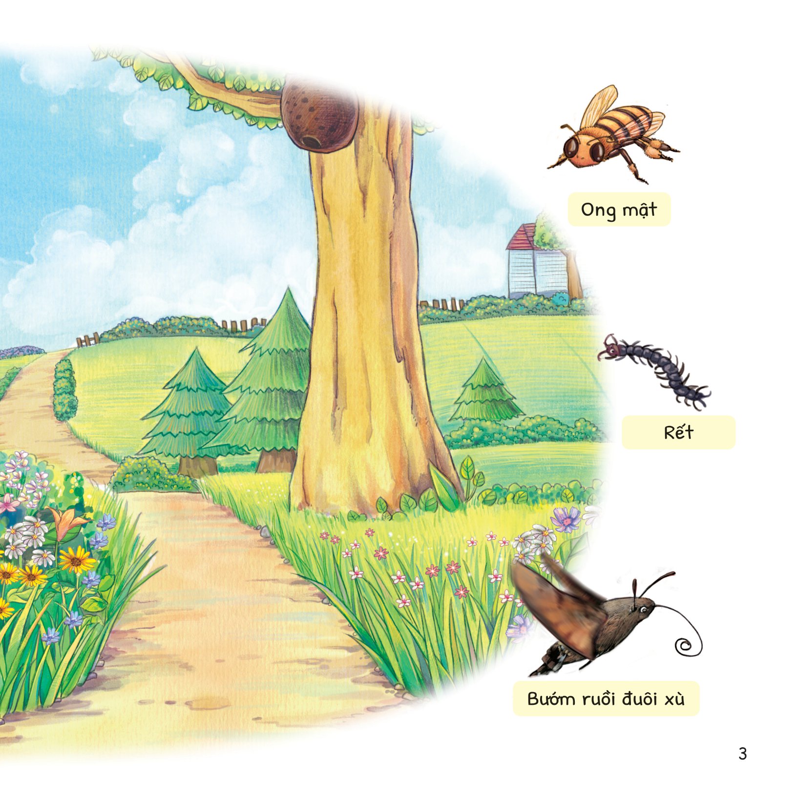 cuộc phiêu lưu của mèo tí hon - trong vườn